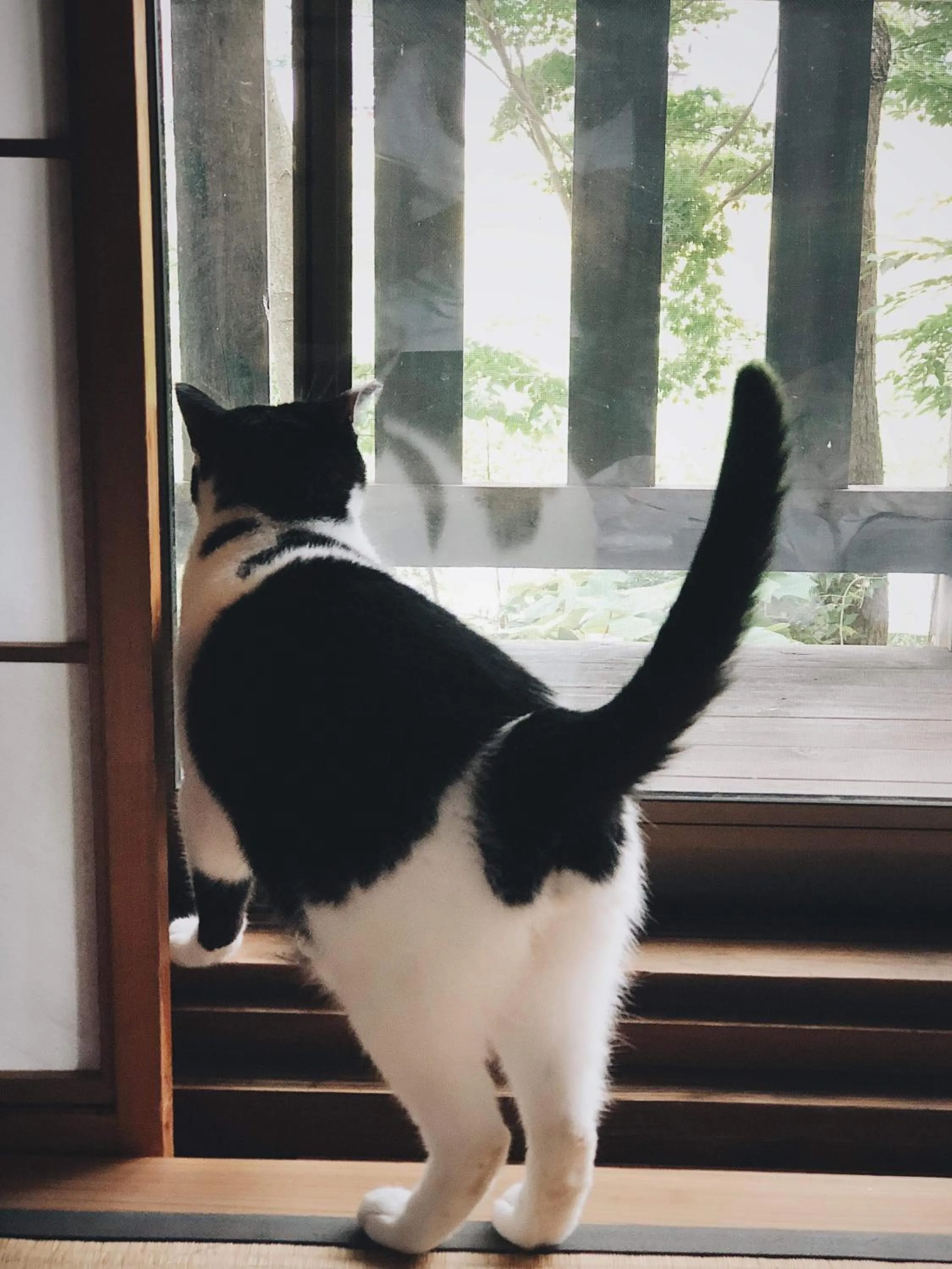 Noka Minshuku Sanzen