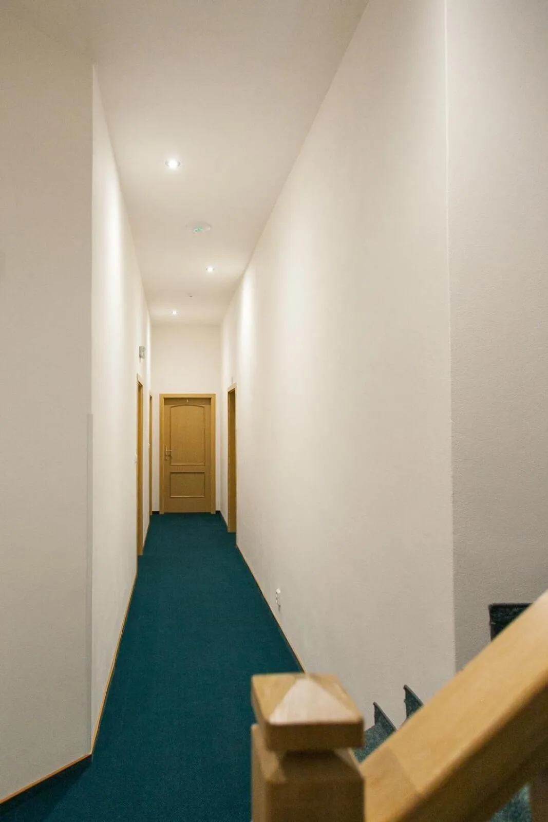 Area and facilities in Penzion U Vlka