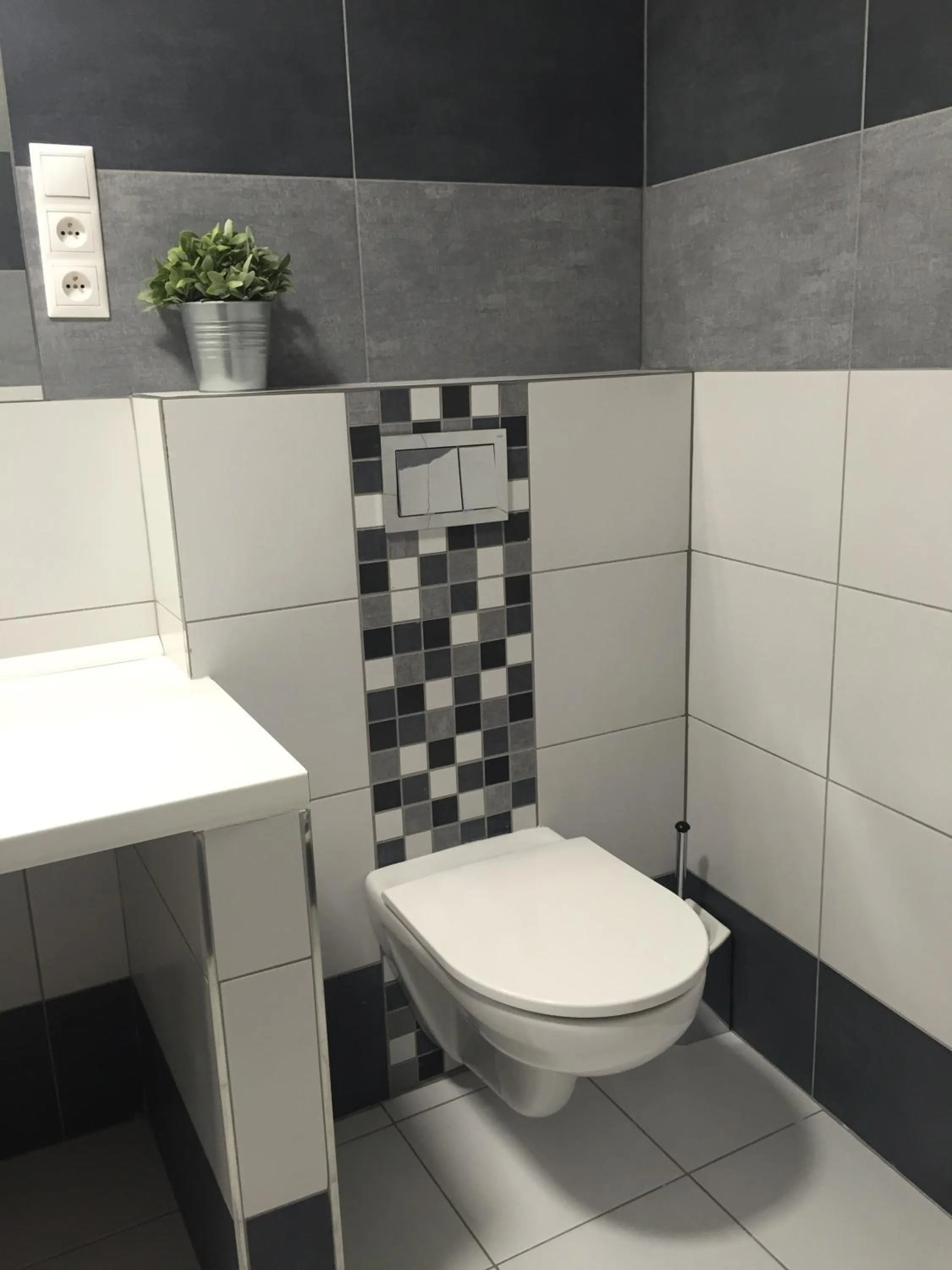 Toilet in Penzion U Vlka