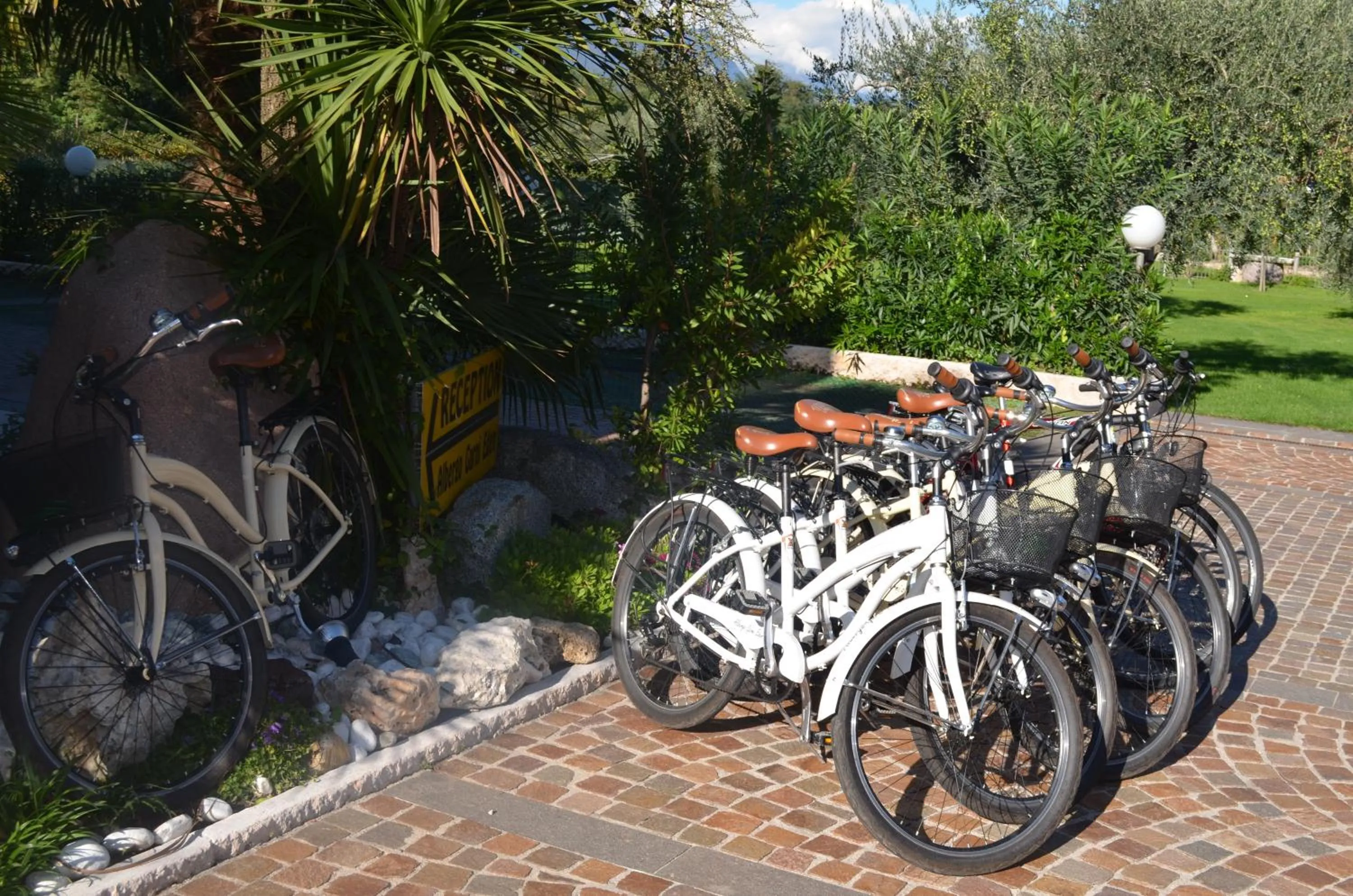 Cycling in Park Hotel Eden