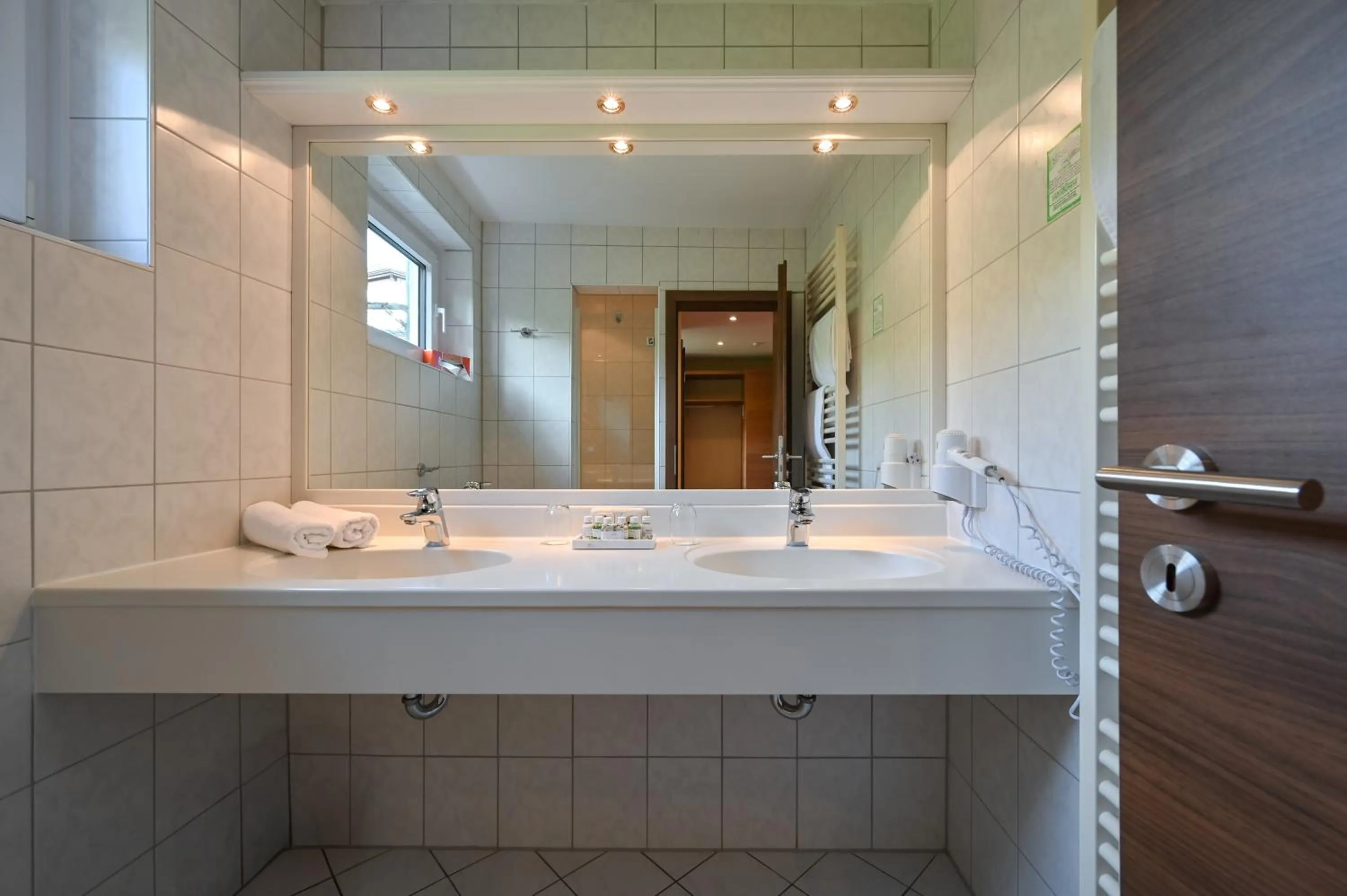 Bathroom in Rothenfels Panorama Hotel