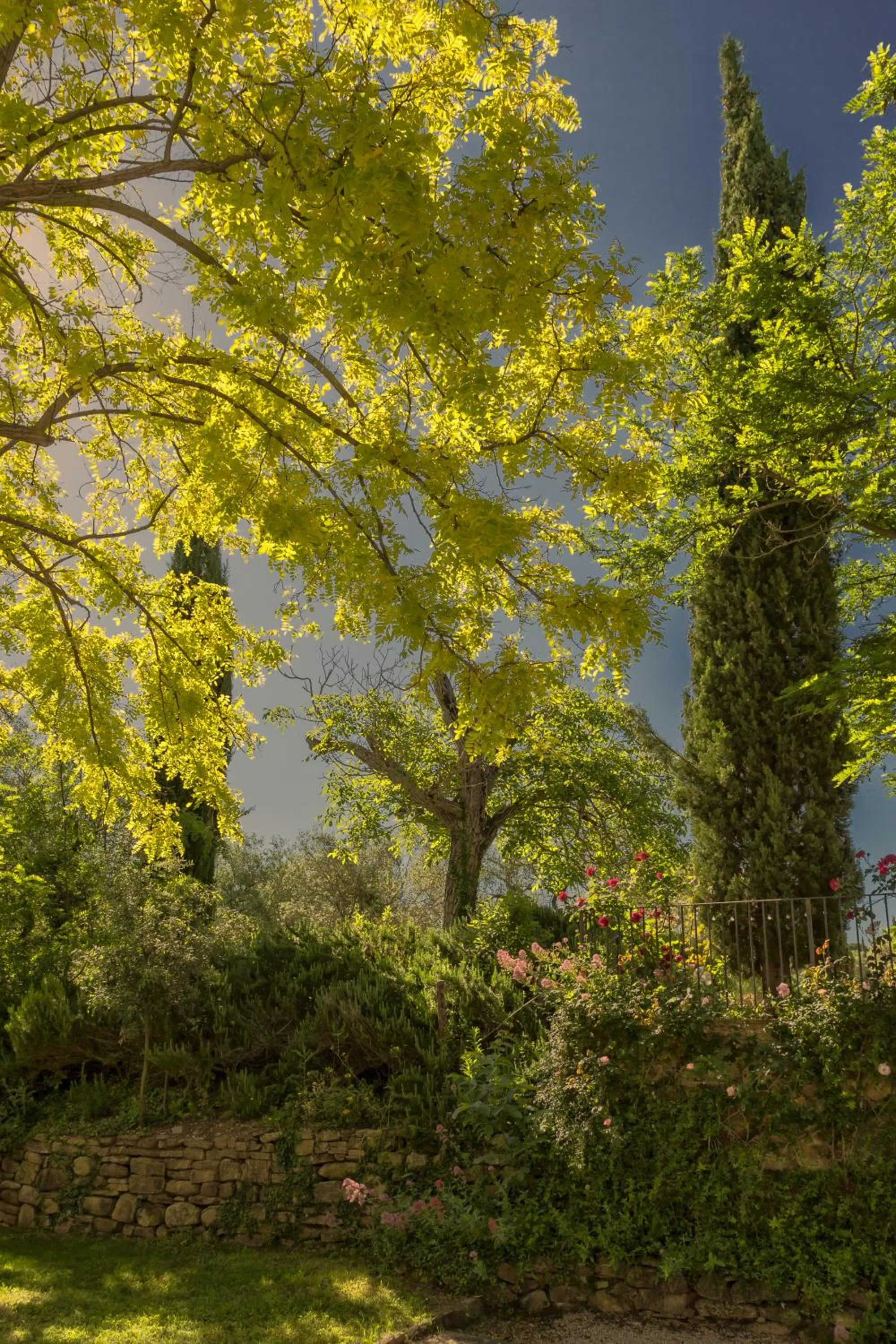 Podere La Casetta - Casa di Campagna