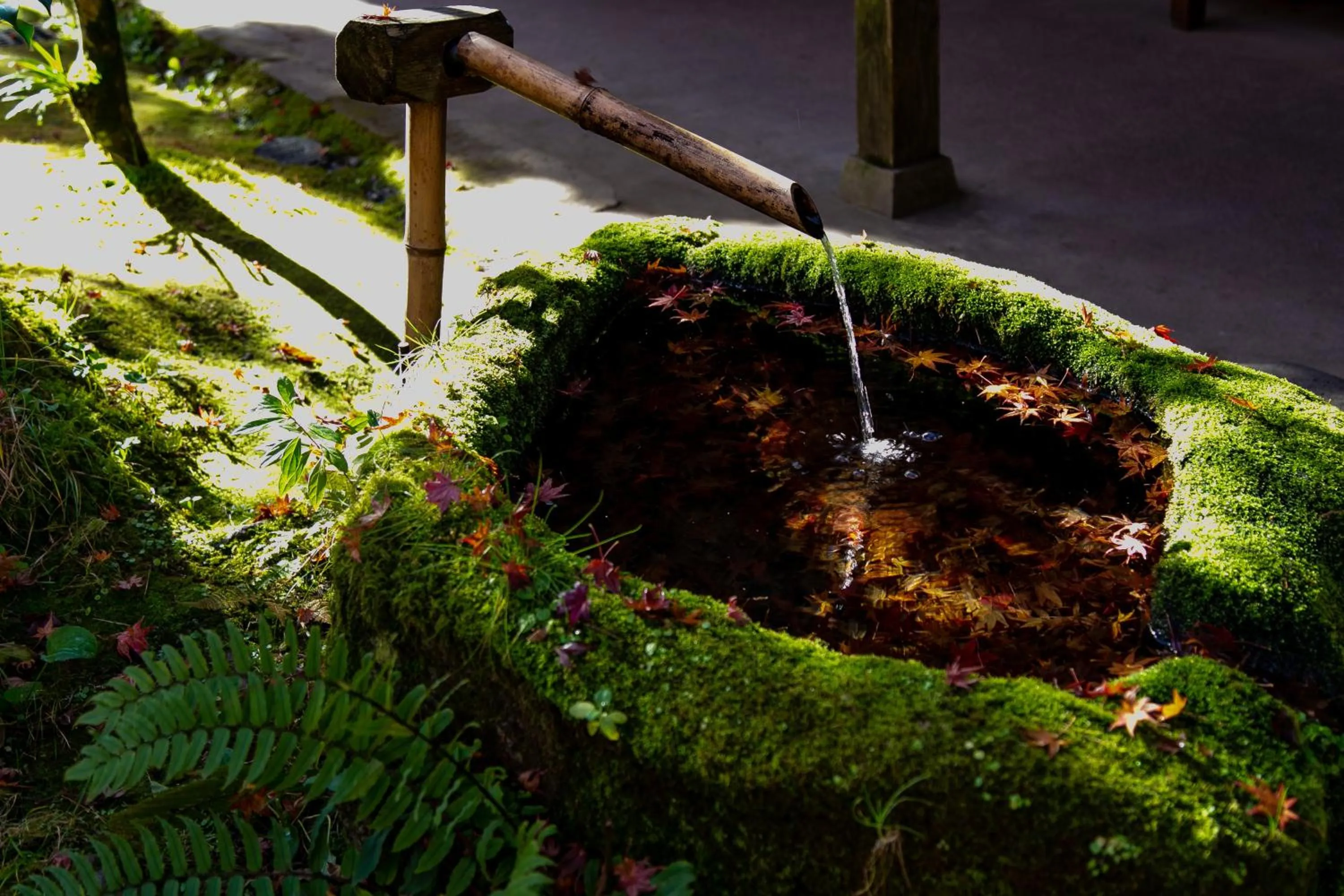 Seasons in Yufuin Lamp no Yado