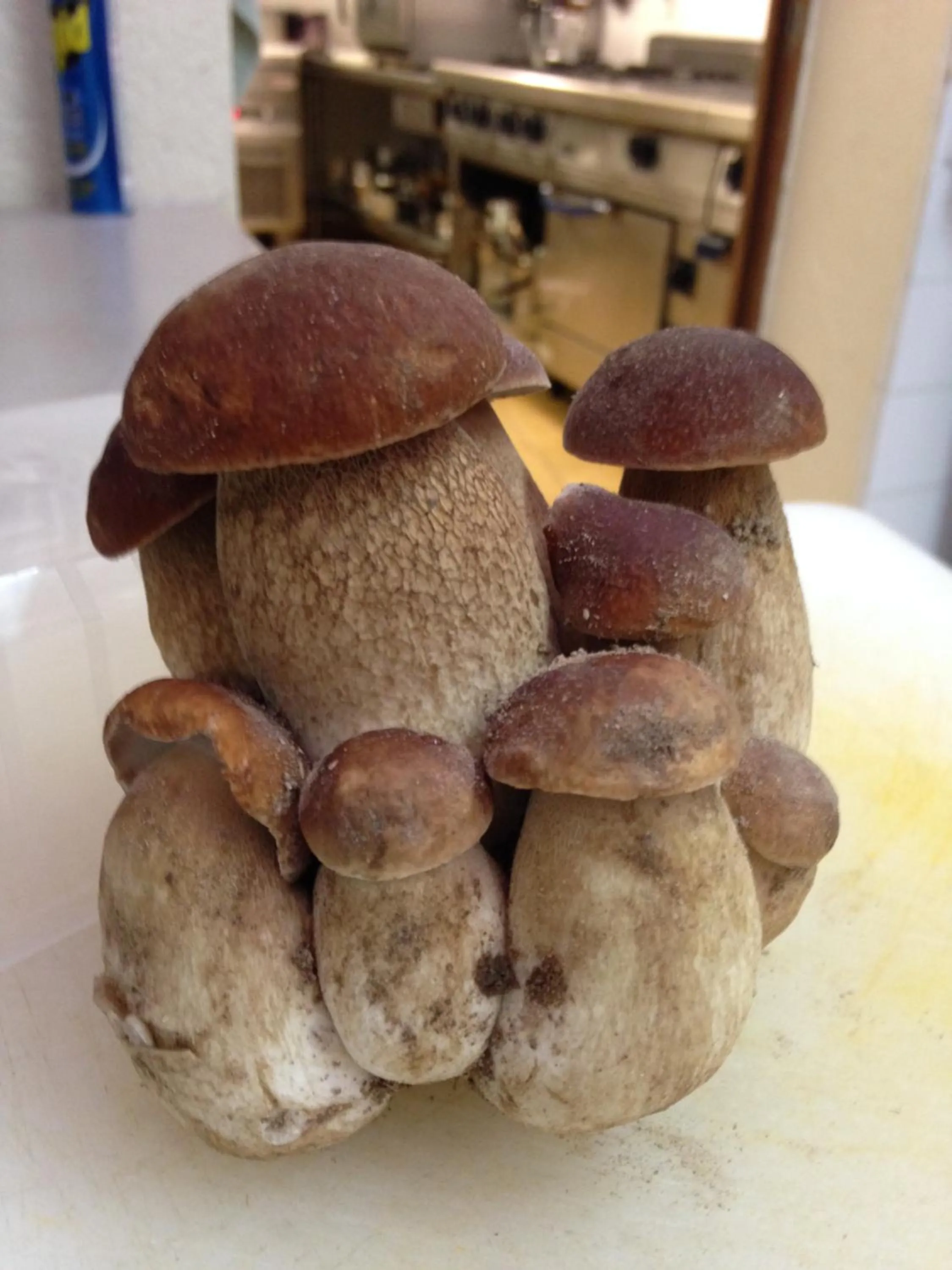 Food in Logis Hôtel Restaurant La Bastide