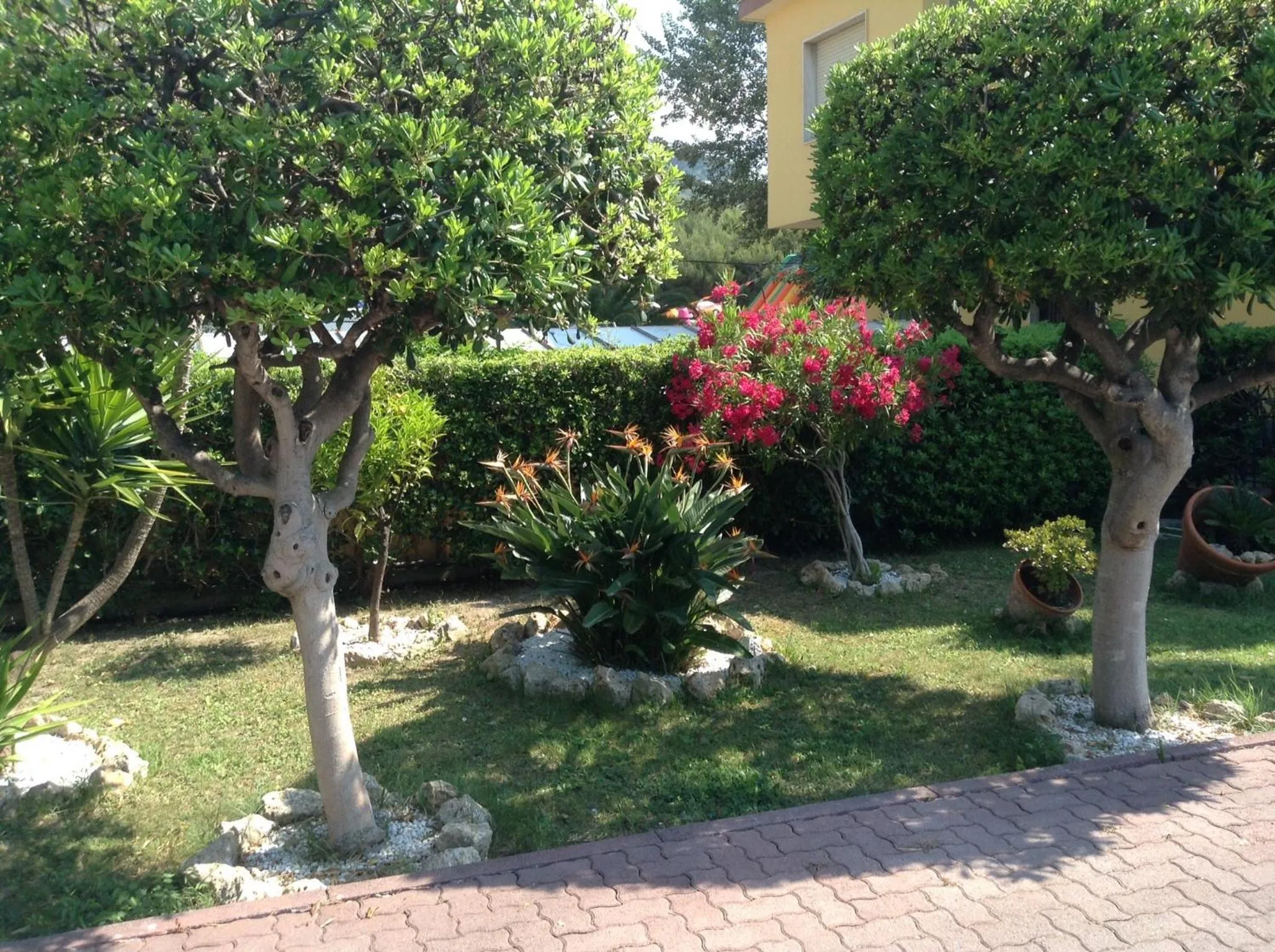 Garden in Villa Le Logge