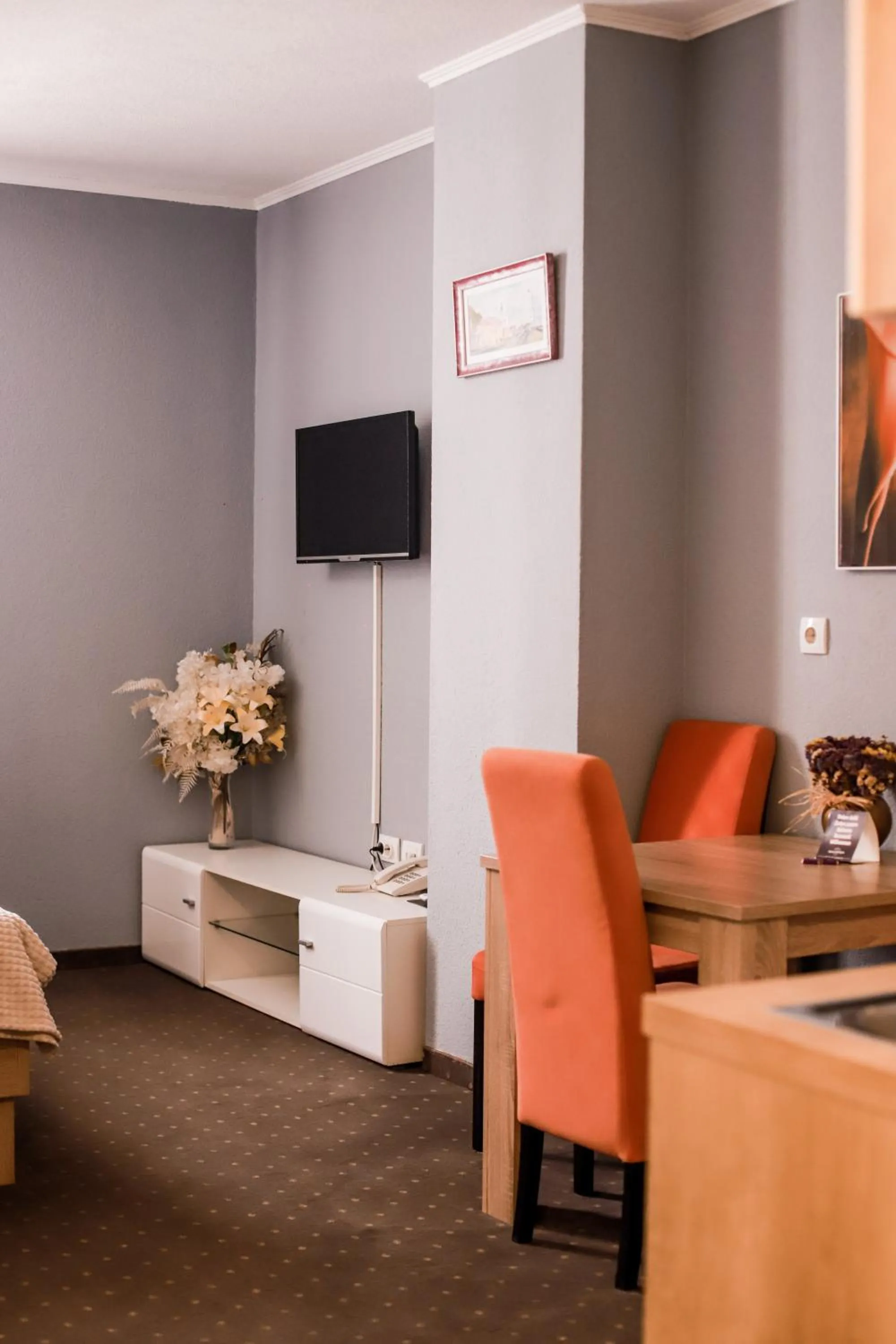 TV and multimedia in Wellness&Spa Hotel Astorya