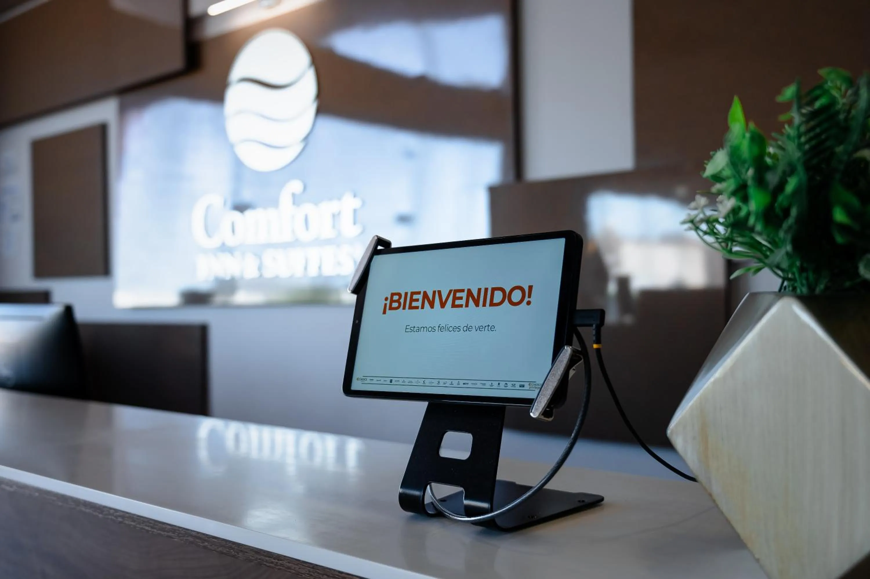 Lobby or reception in Comfort Inn & Suites Los Cabos