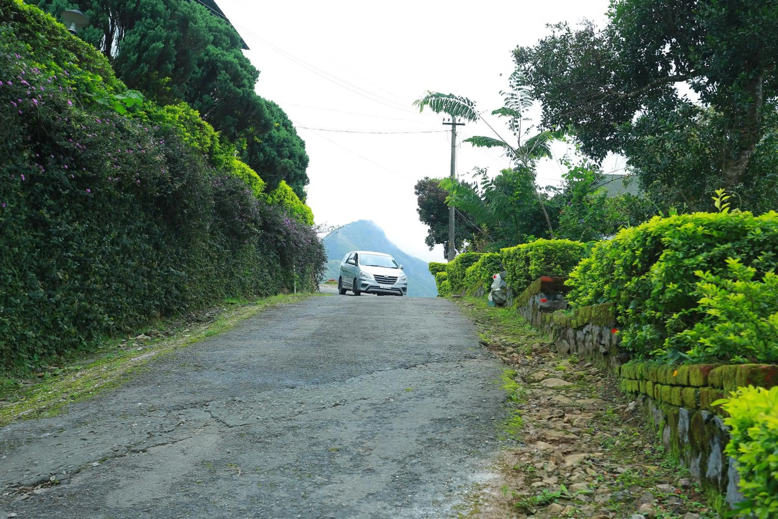 Deshadan Mountain Resort -The highest resort in Munnar