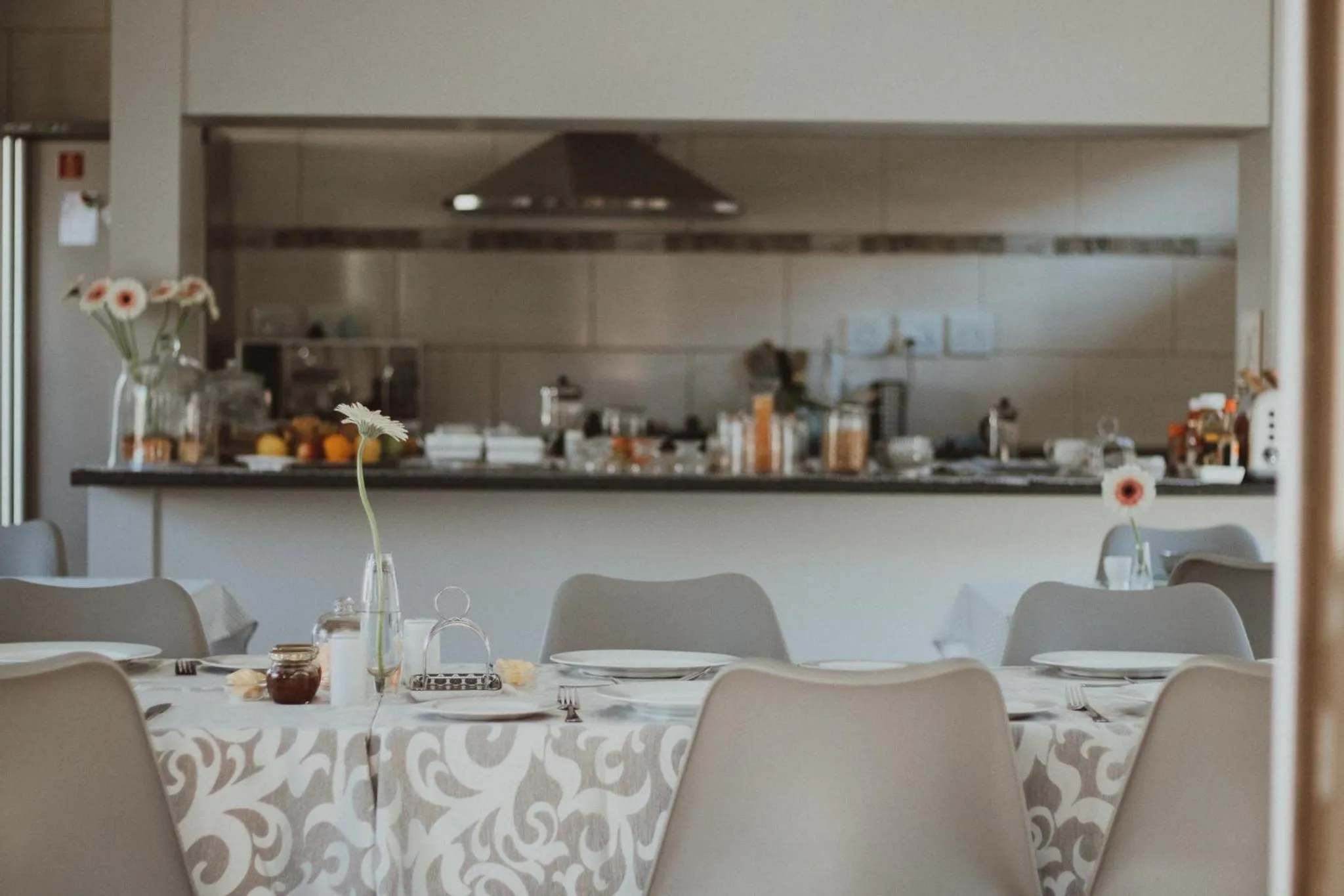 Kitchen or kitchenette in Three Olives Guesthouse