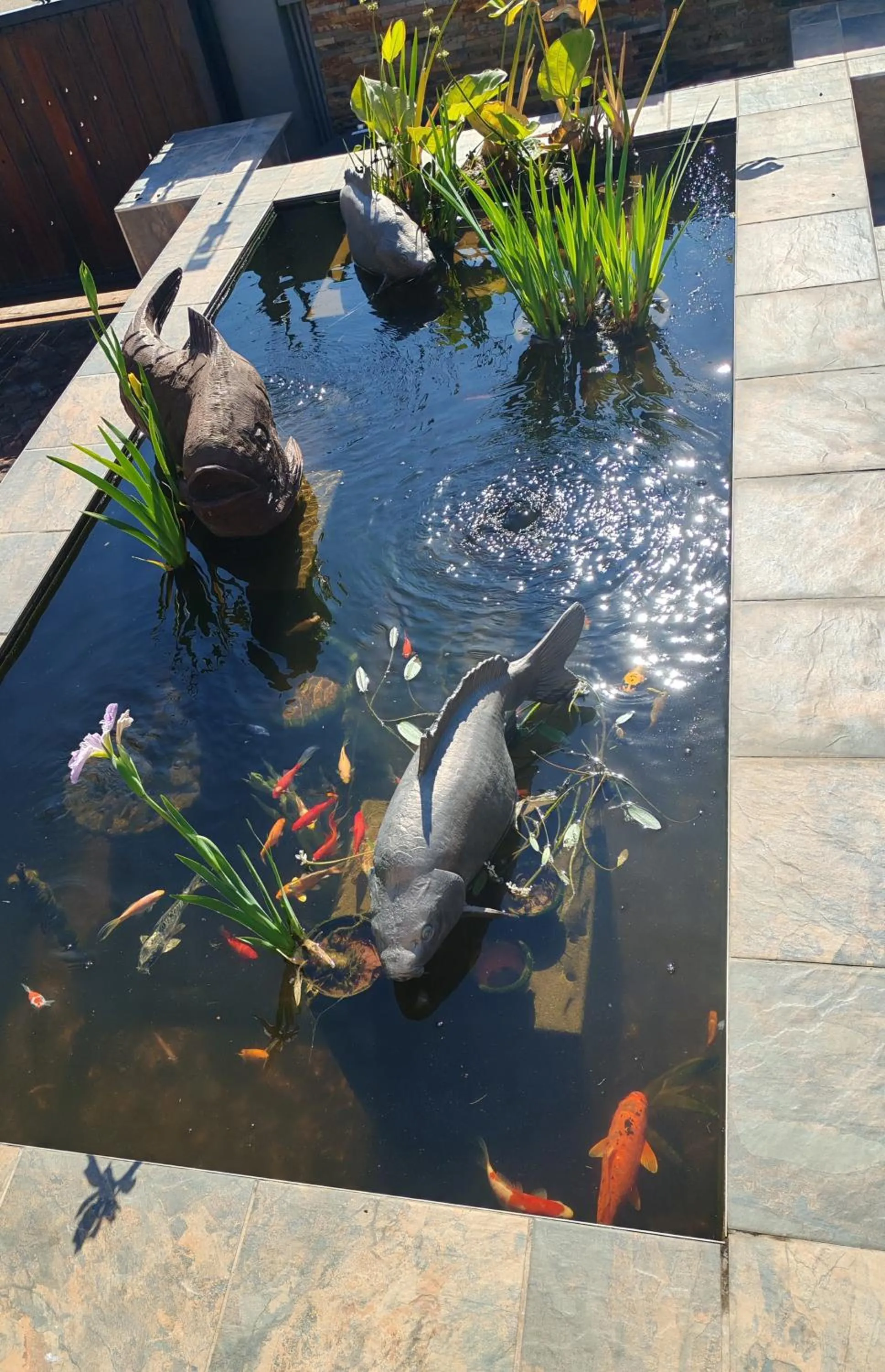 Day in Three Olives Guesthouse