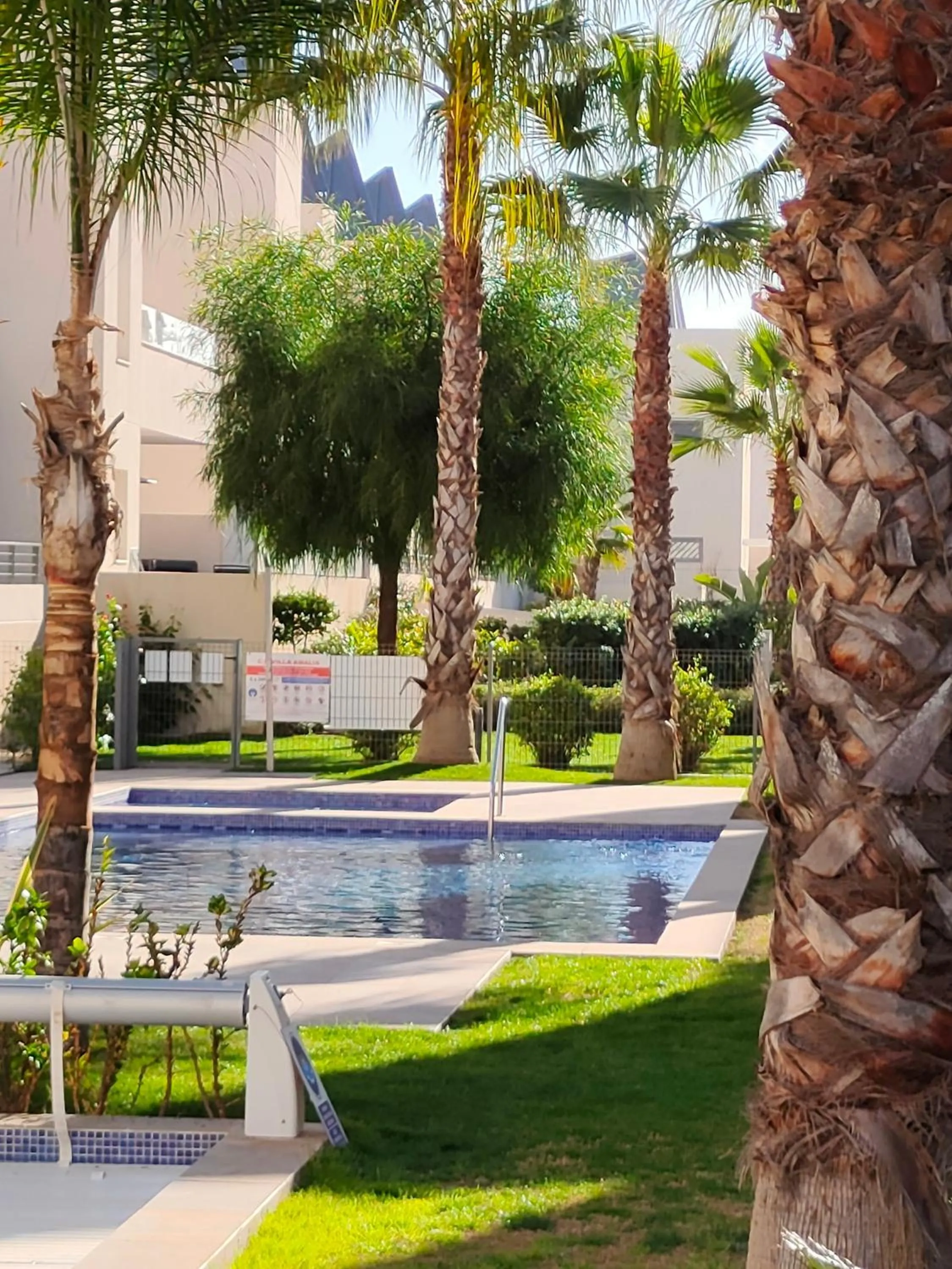 Swimming pool in Villa Amalia Eco