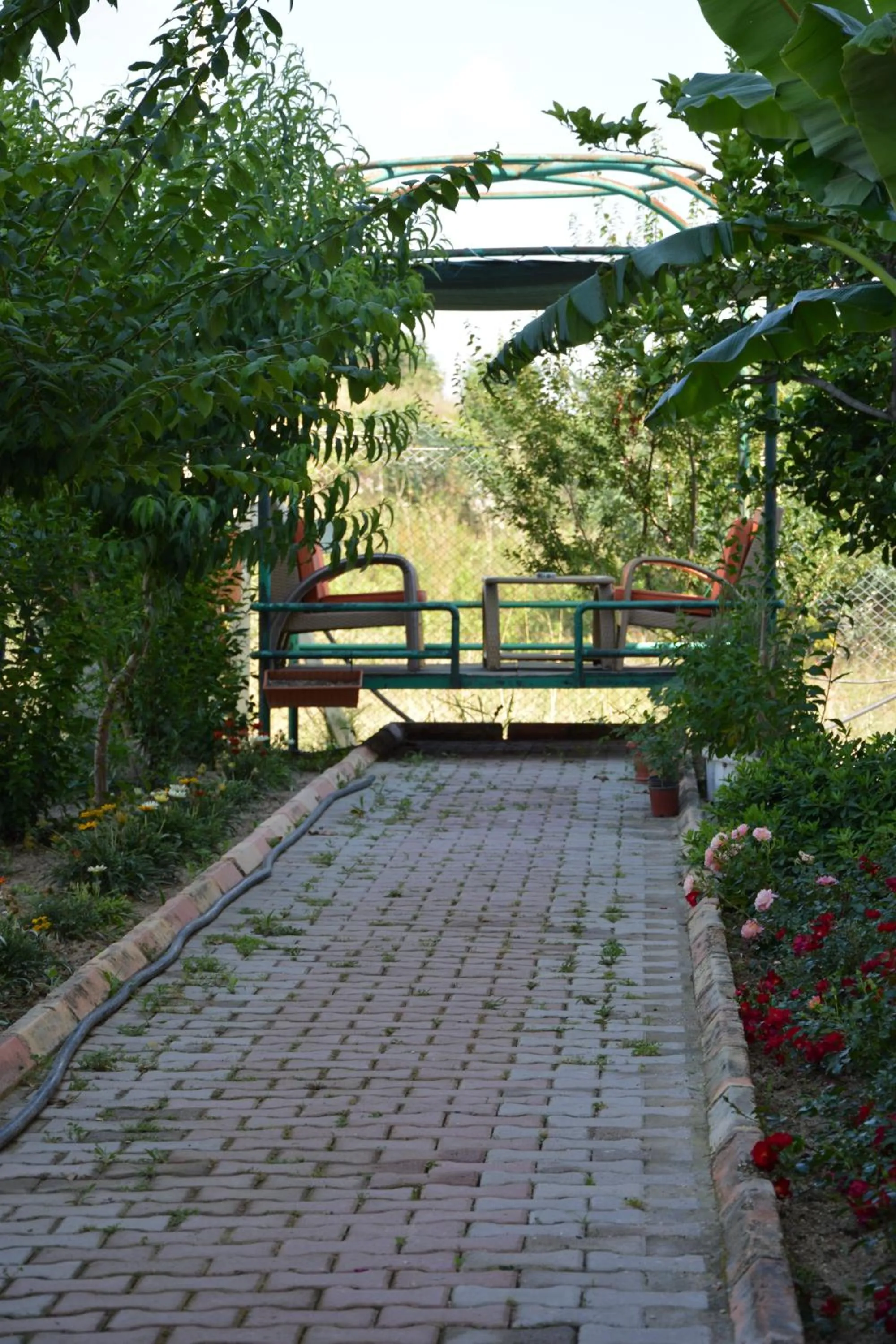 Garden in Yavuzhan Hotel