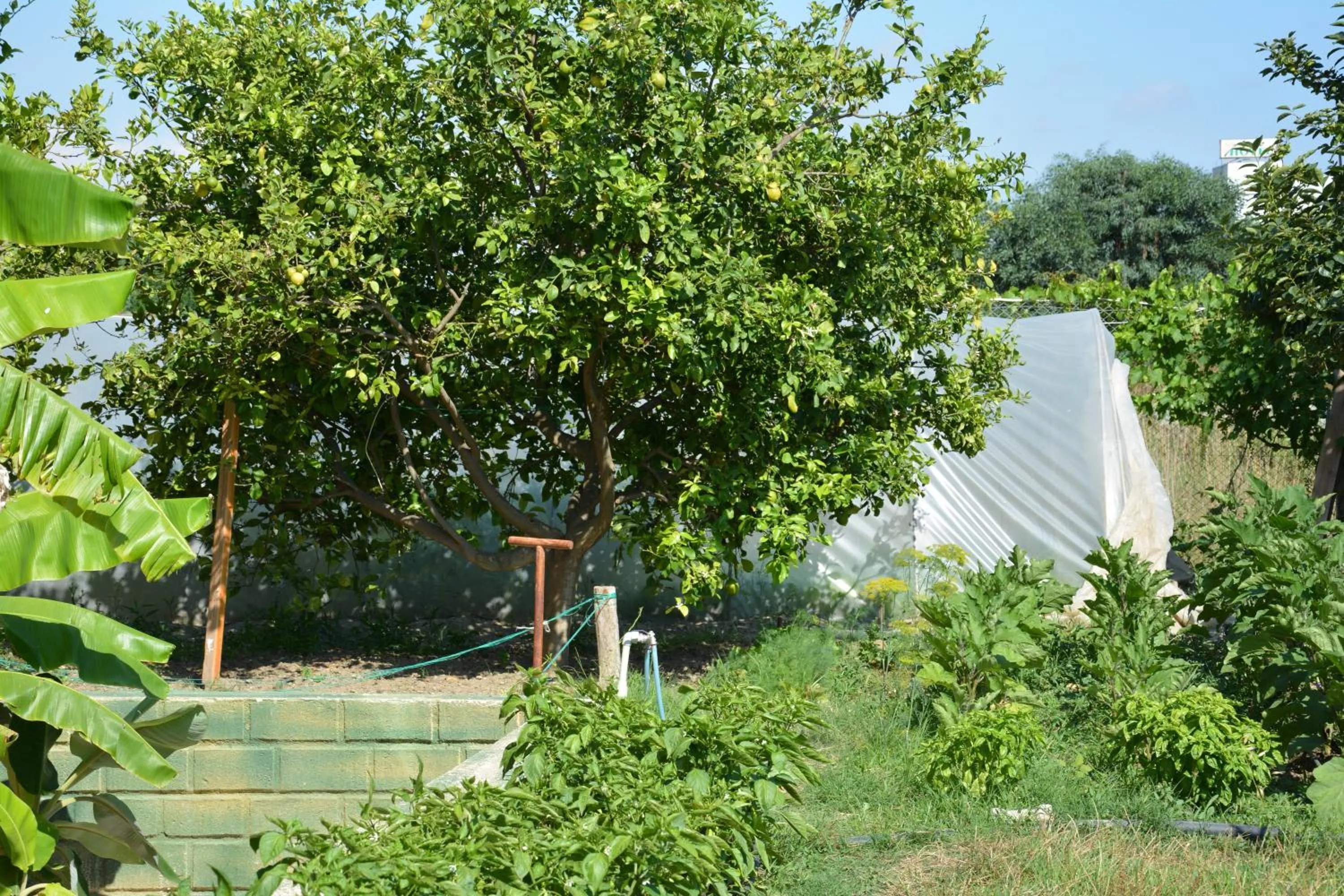 Garden in Yavuzhan Hotel