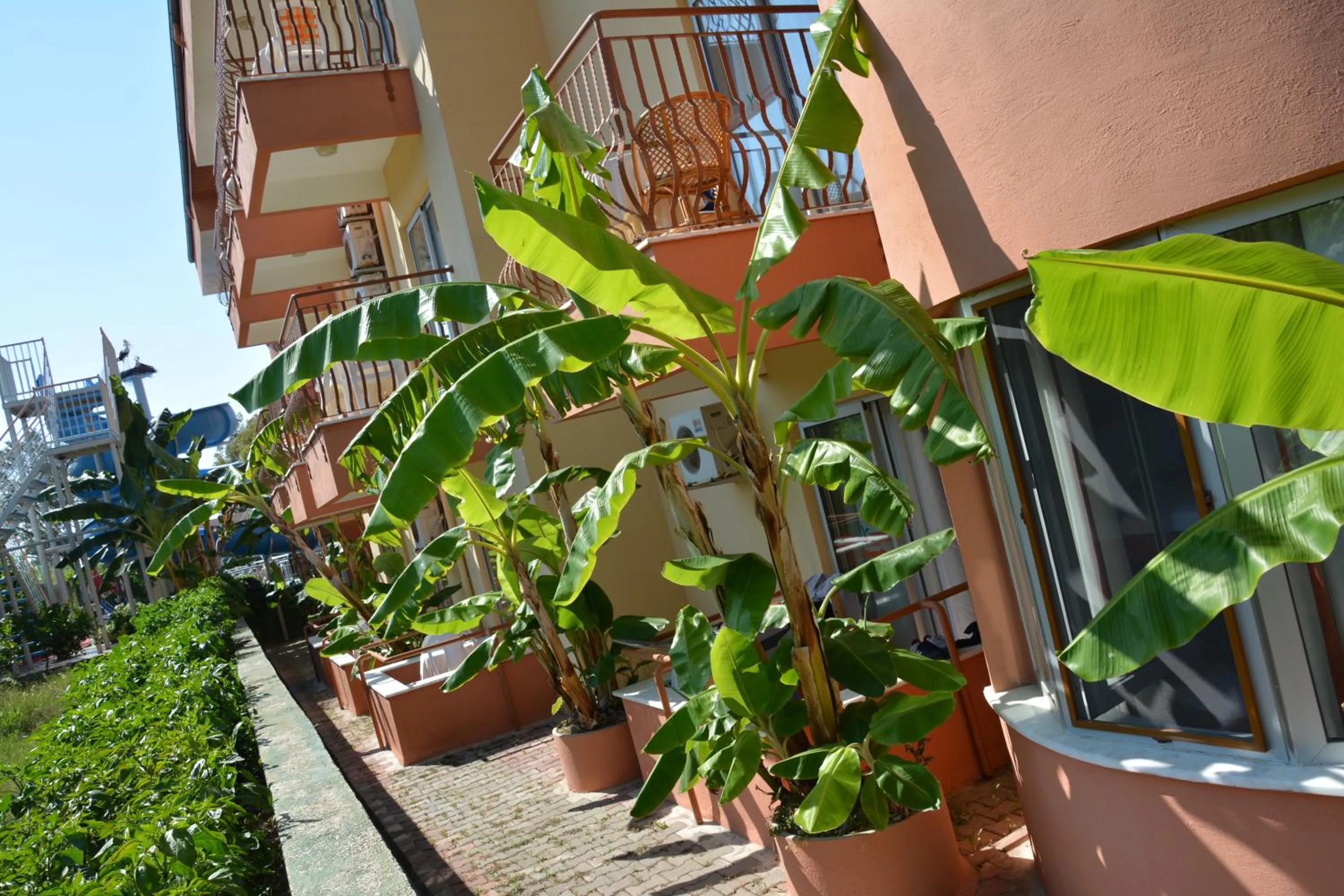 Garden in Yavuzhan Hotel
