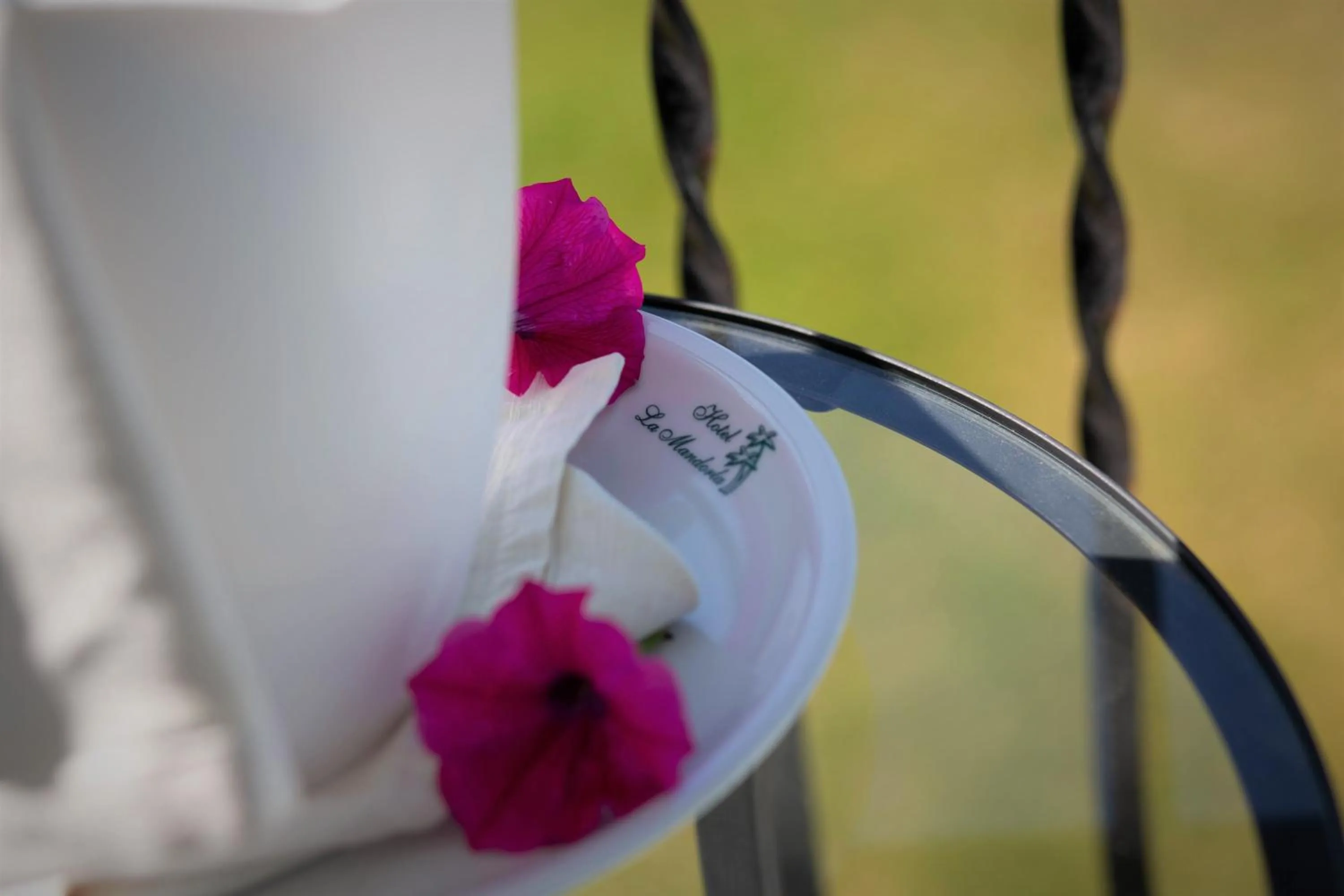 Day in Hotel La Mandorla