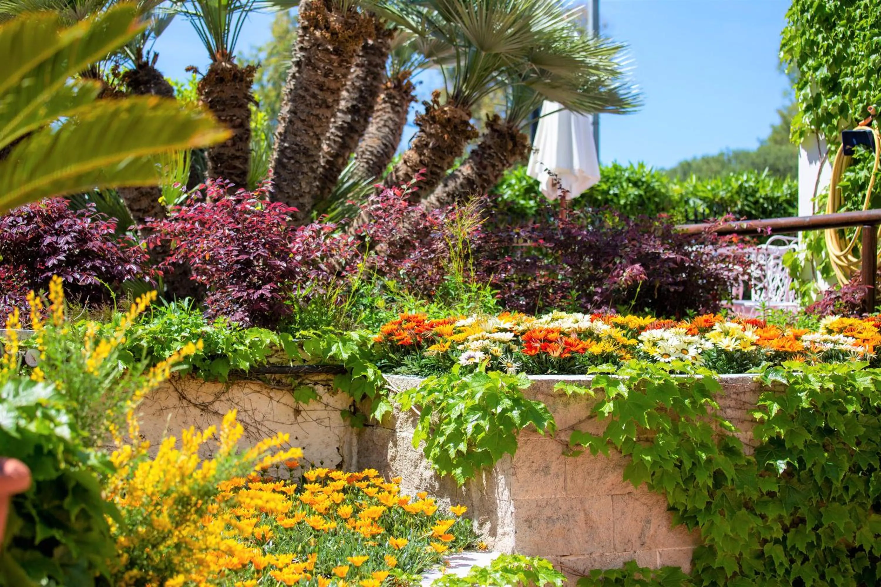 Garden in Hotel La Mandorla