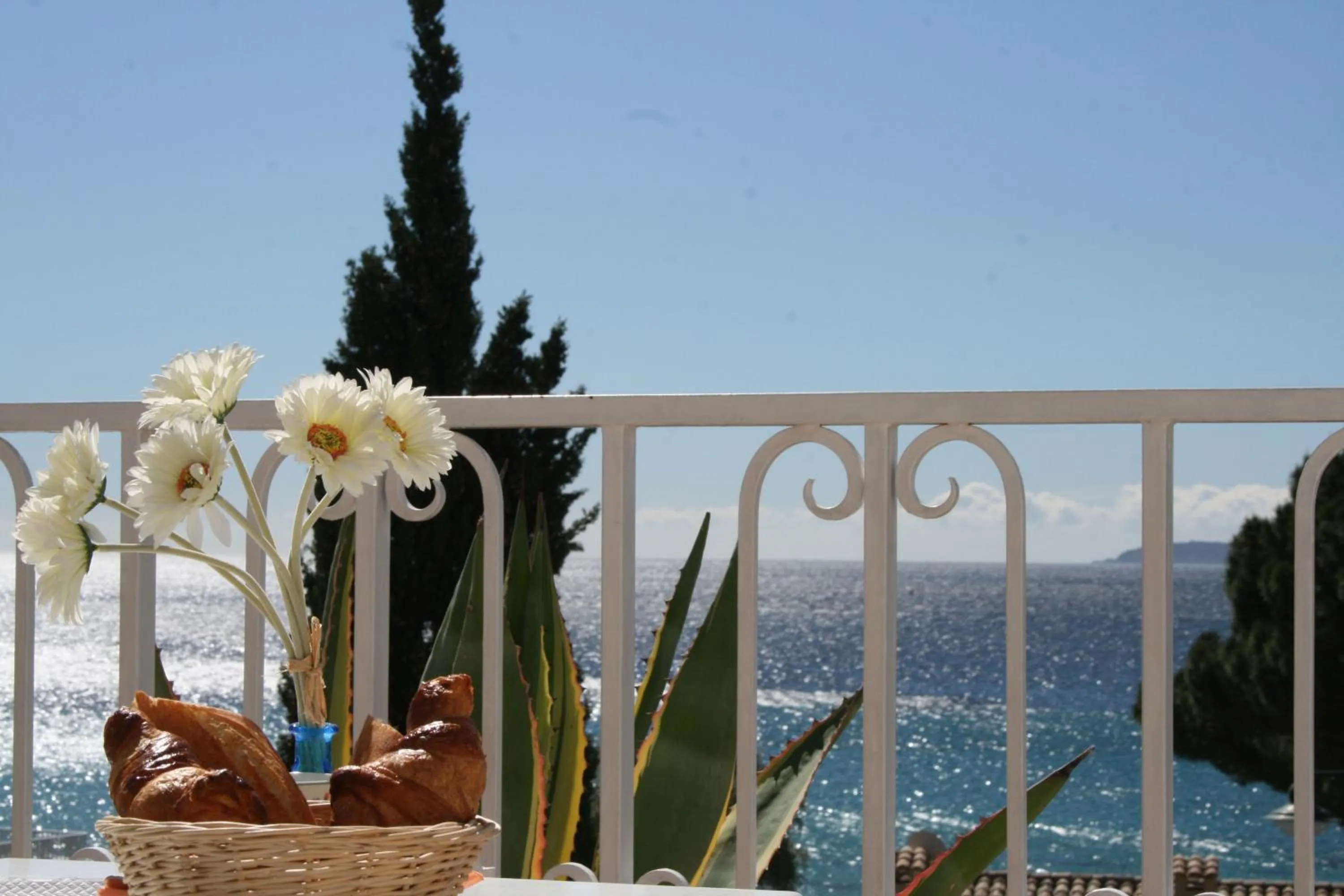 Balcony/Terrace in Les Alcyons