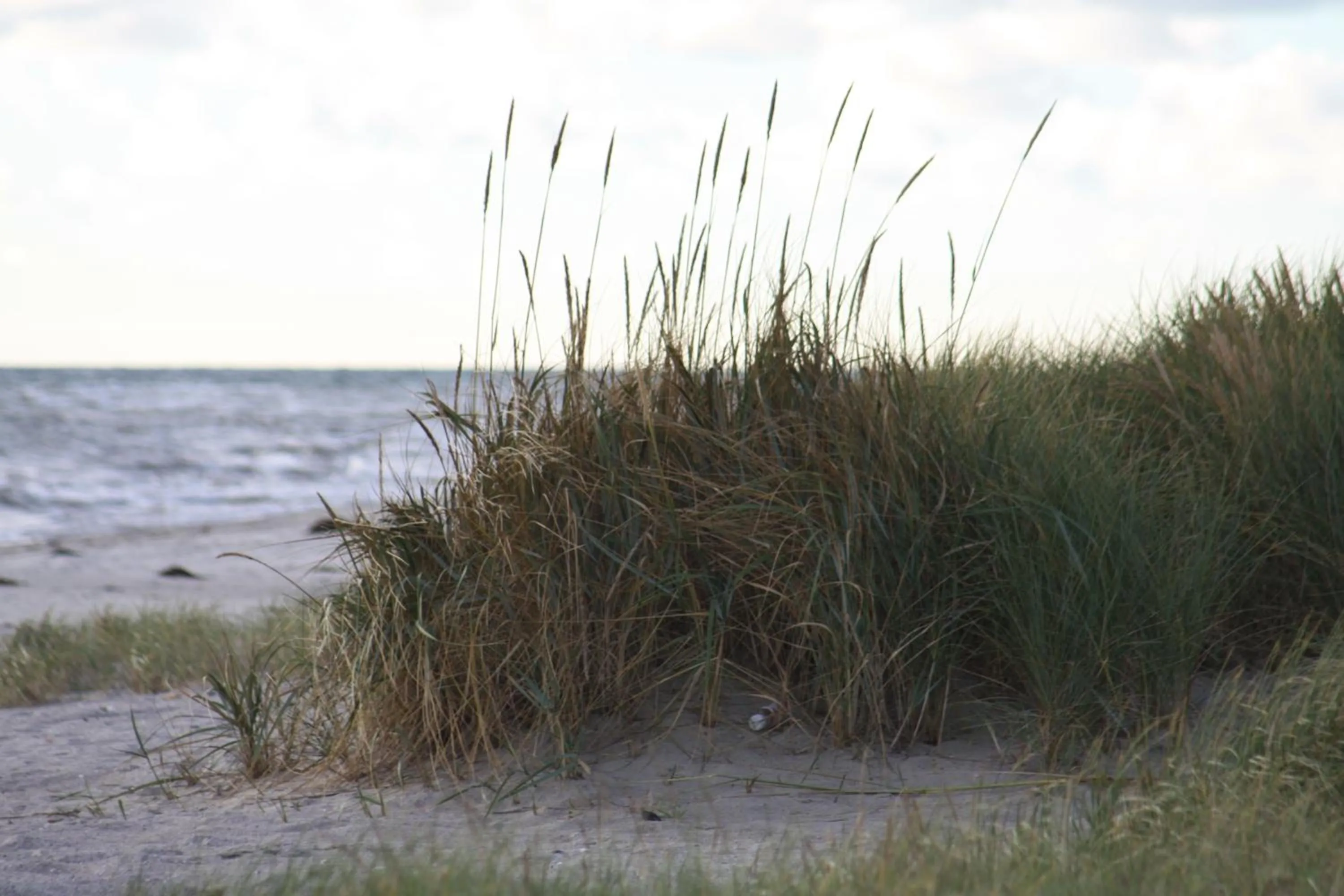 Day in Hotel Havlund Bed and Breakfast