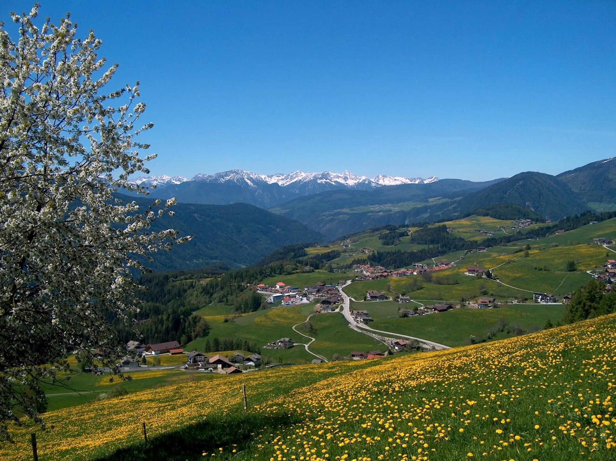 Summer in Residence Terentis