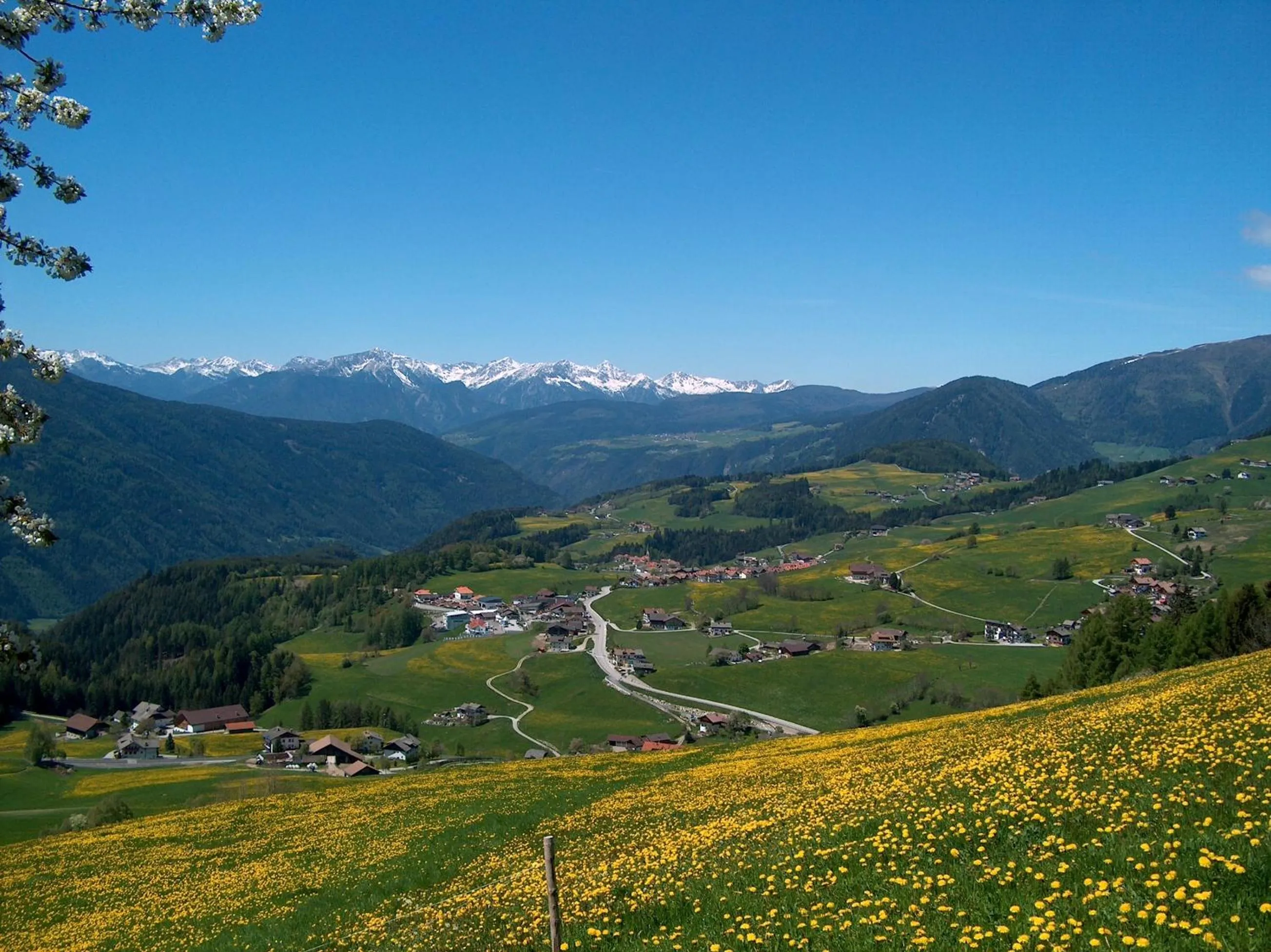 Summer in Residence Terentis