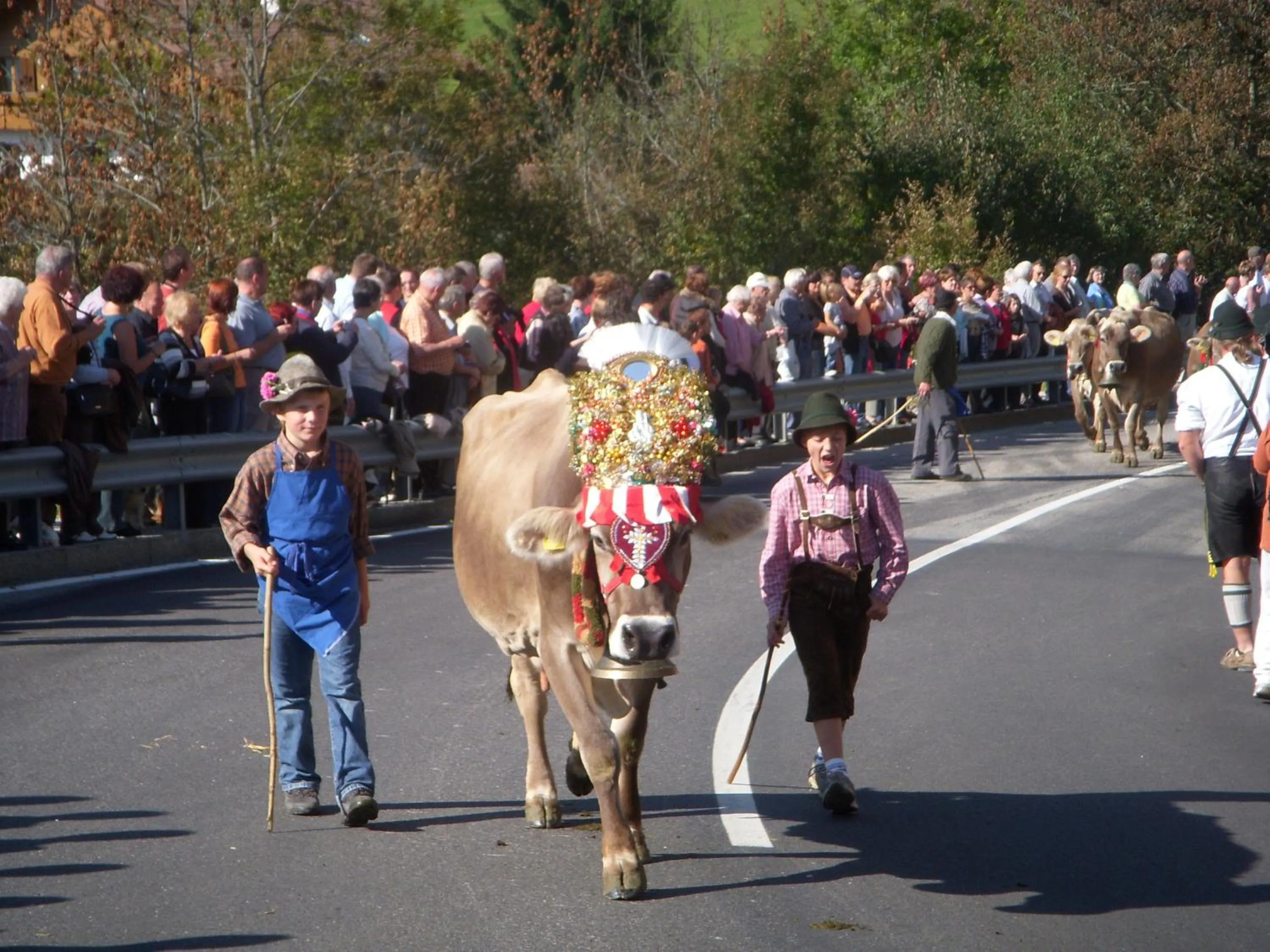 Summer in Residence Terentis