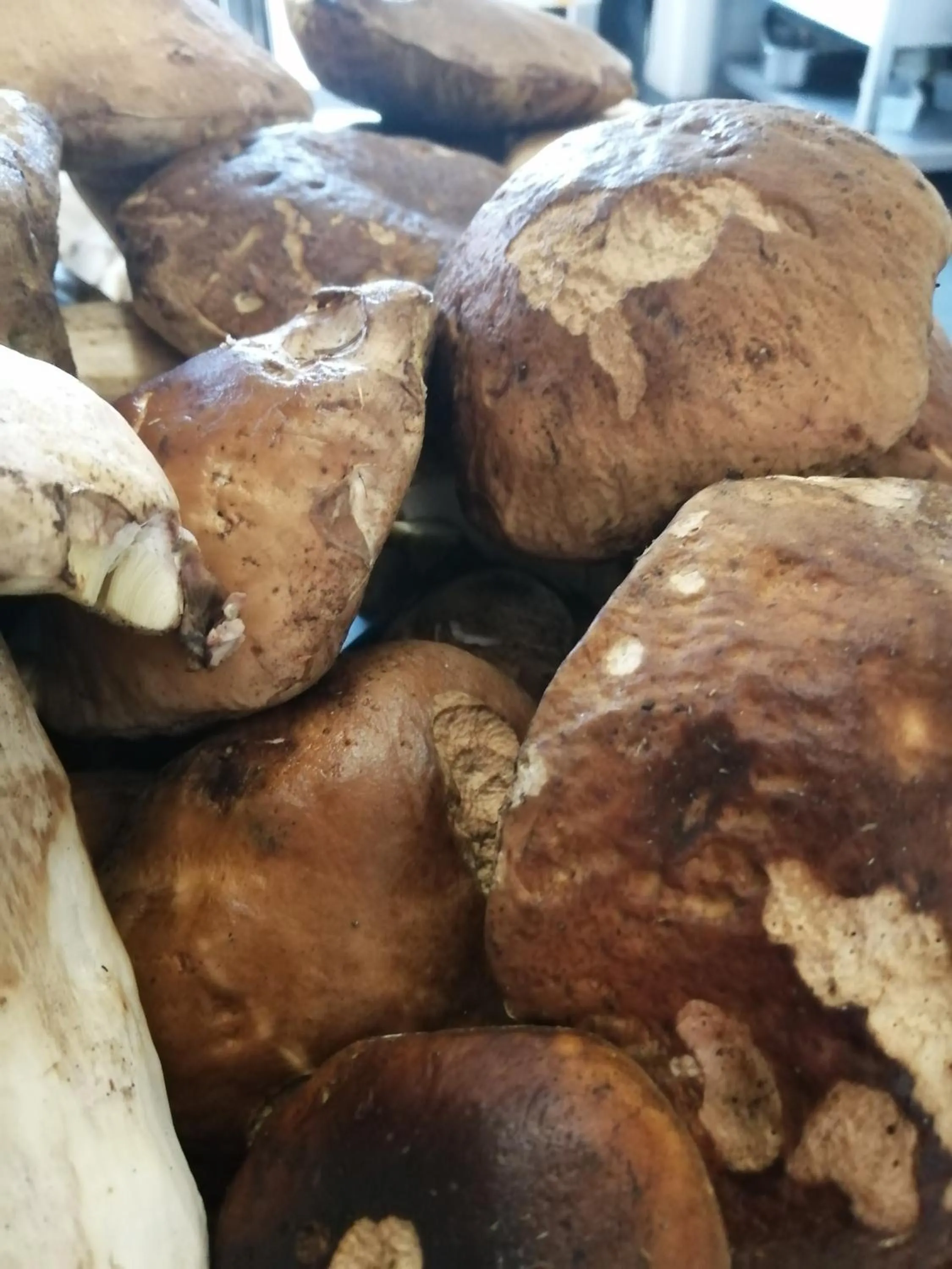 Restaurant/places to eat in Hotel Ciocca