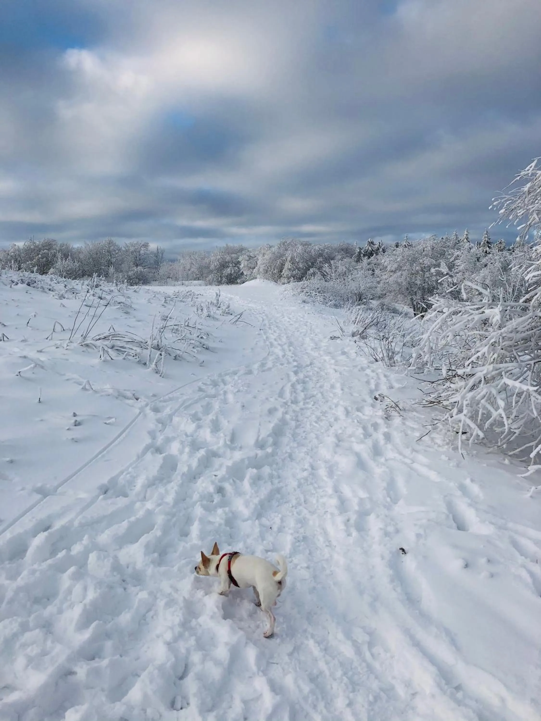 Off site in Waldhotel Ehrental