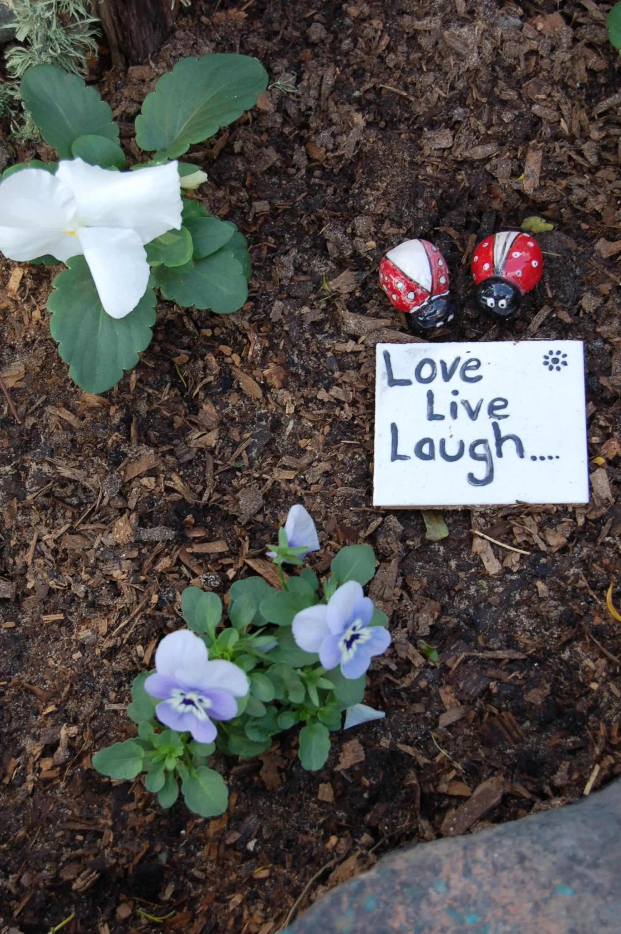 Facade/entrance in A La Martha's Air-Port Guest House