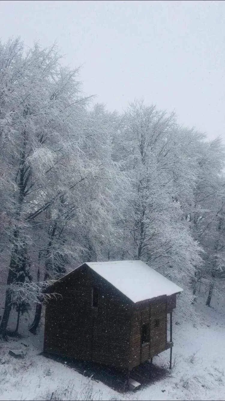 Apartment in Bakuriani