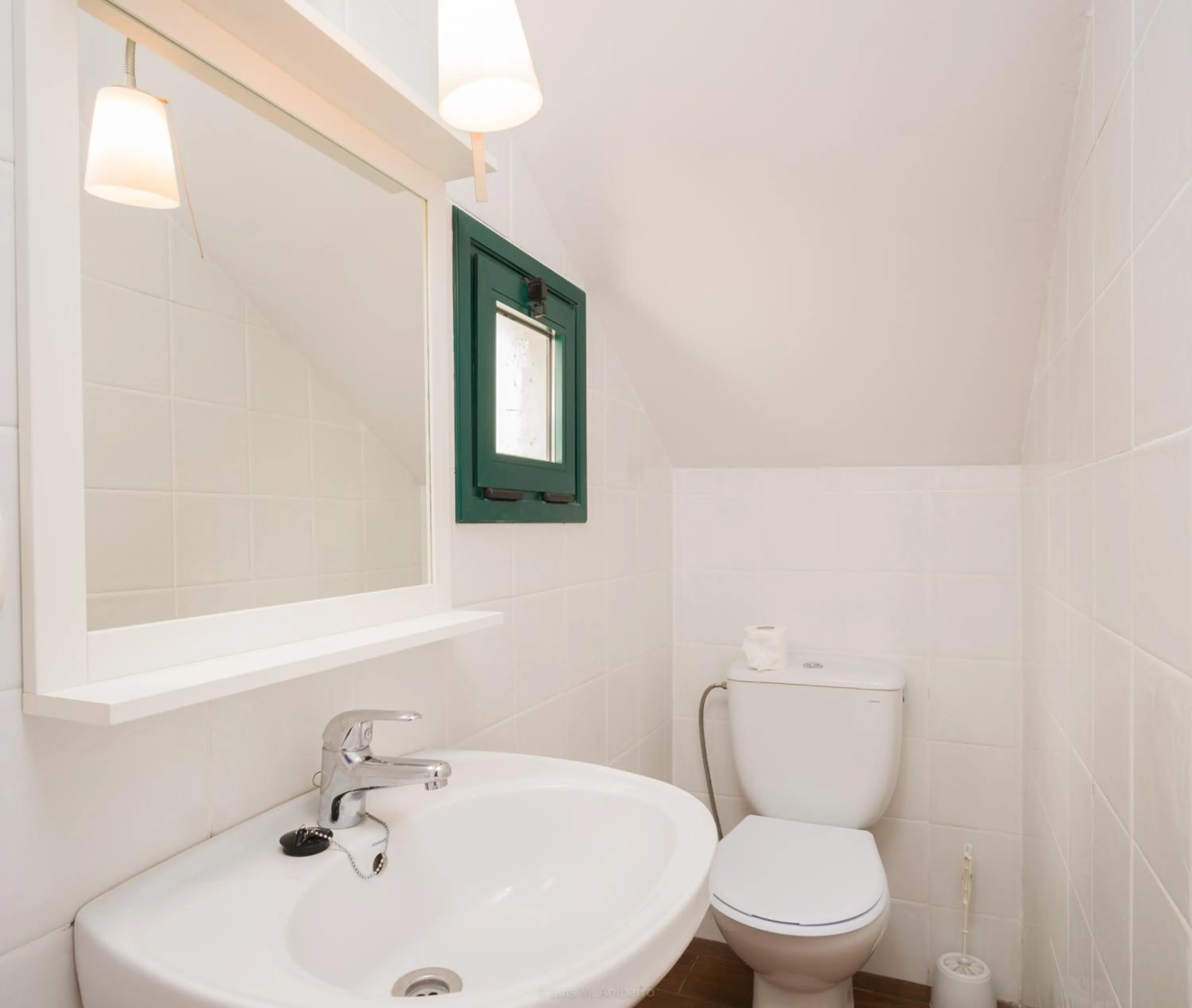 Toilet in Apartamentos Los Rosales