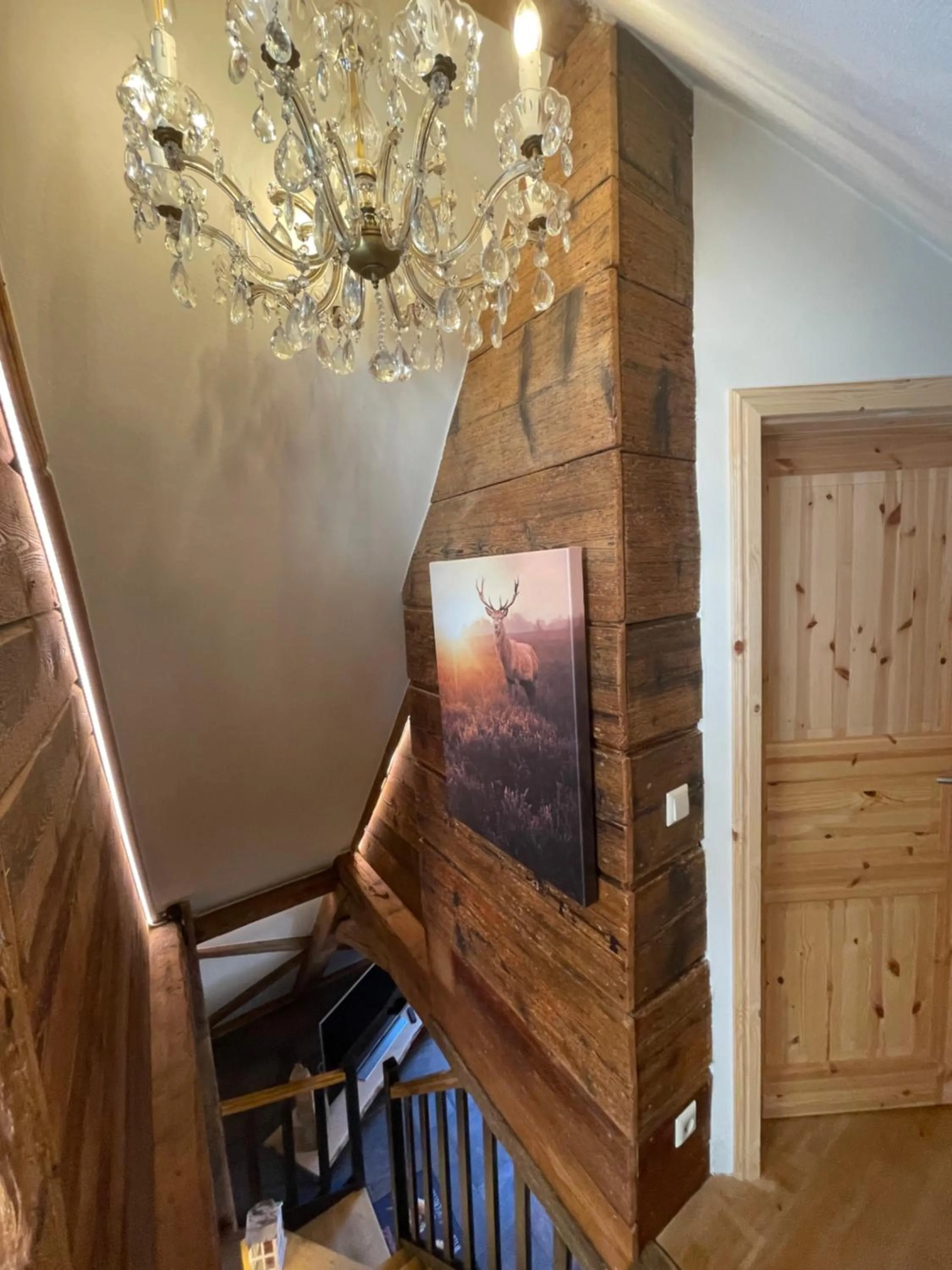 Photo of the whole room in Muggel Apartments