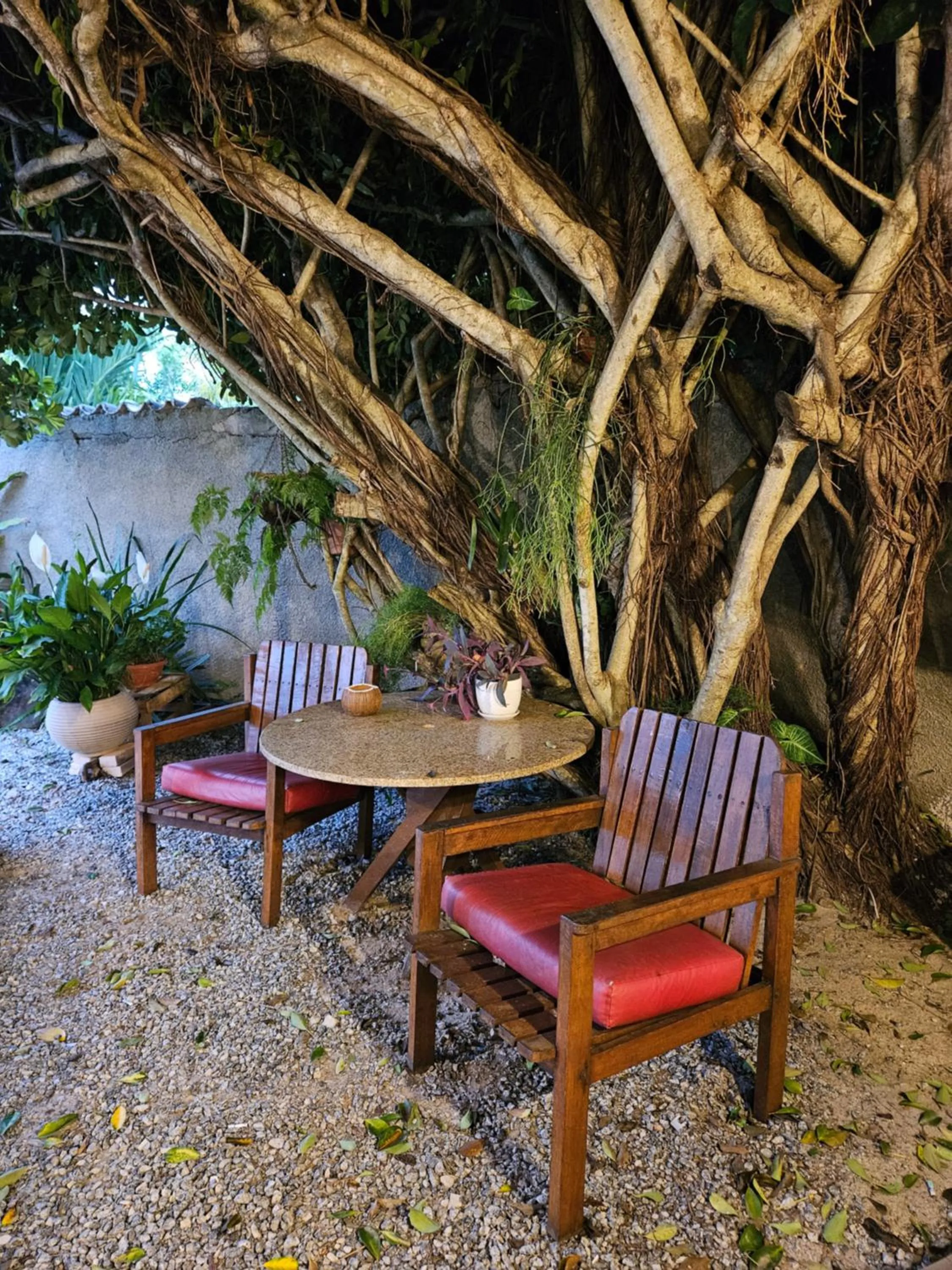 Pousada Recanto Das Emerências