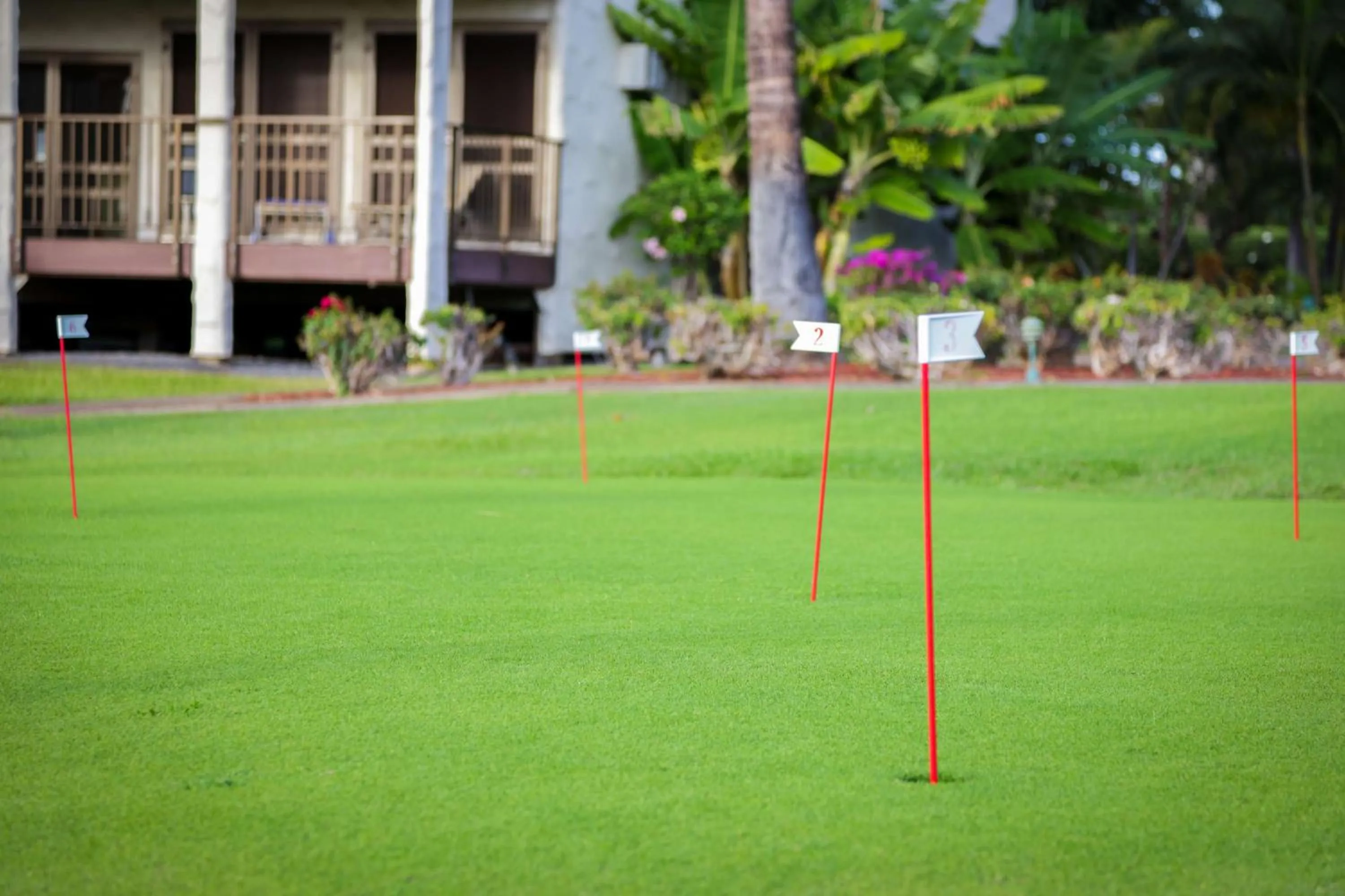 Day in Aston Maui Hill