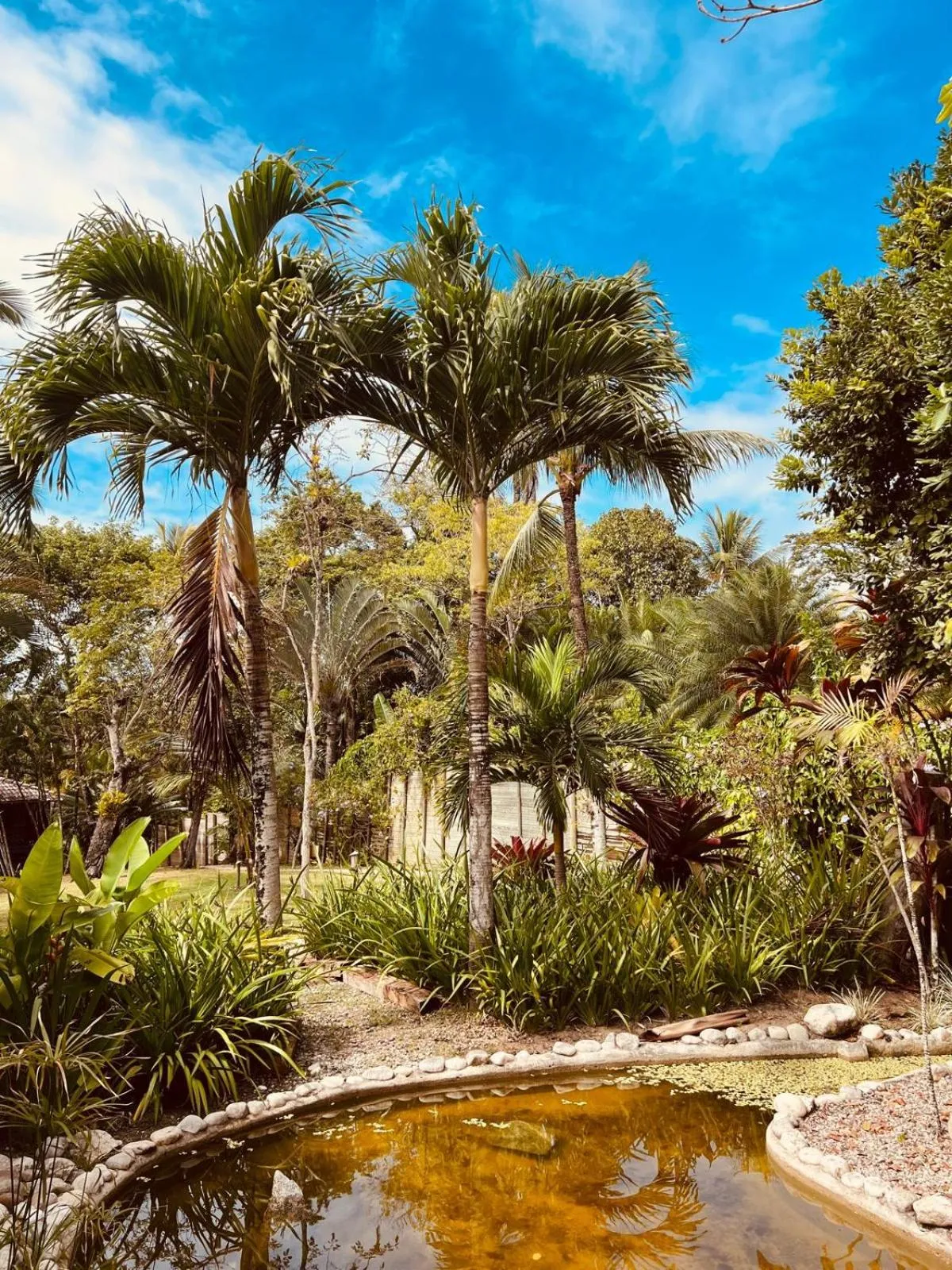 Garden view in Pousada Jacarandá