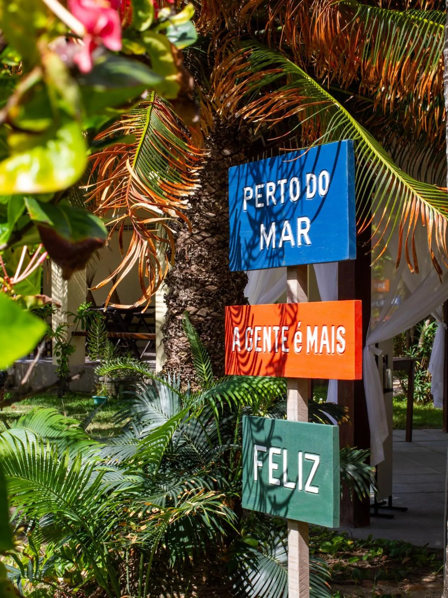 Garden view in Pousada Hibiscus