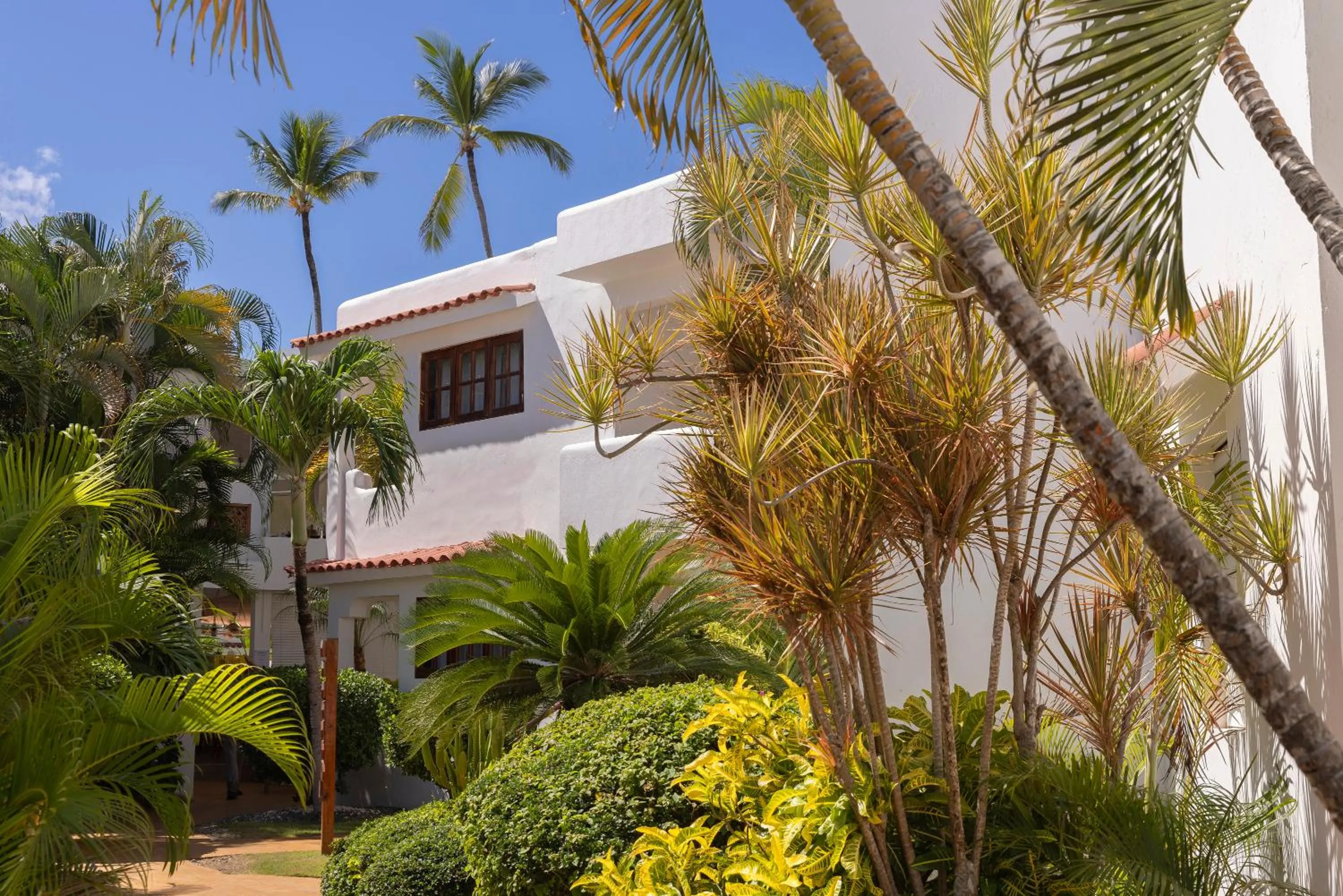 Garden in Hotel whala!bávaro - All Inclusive