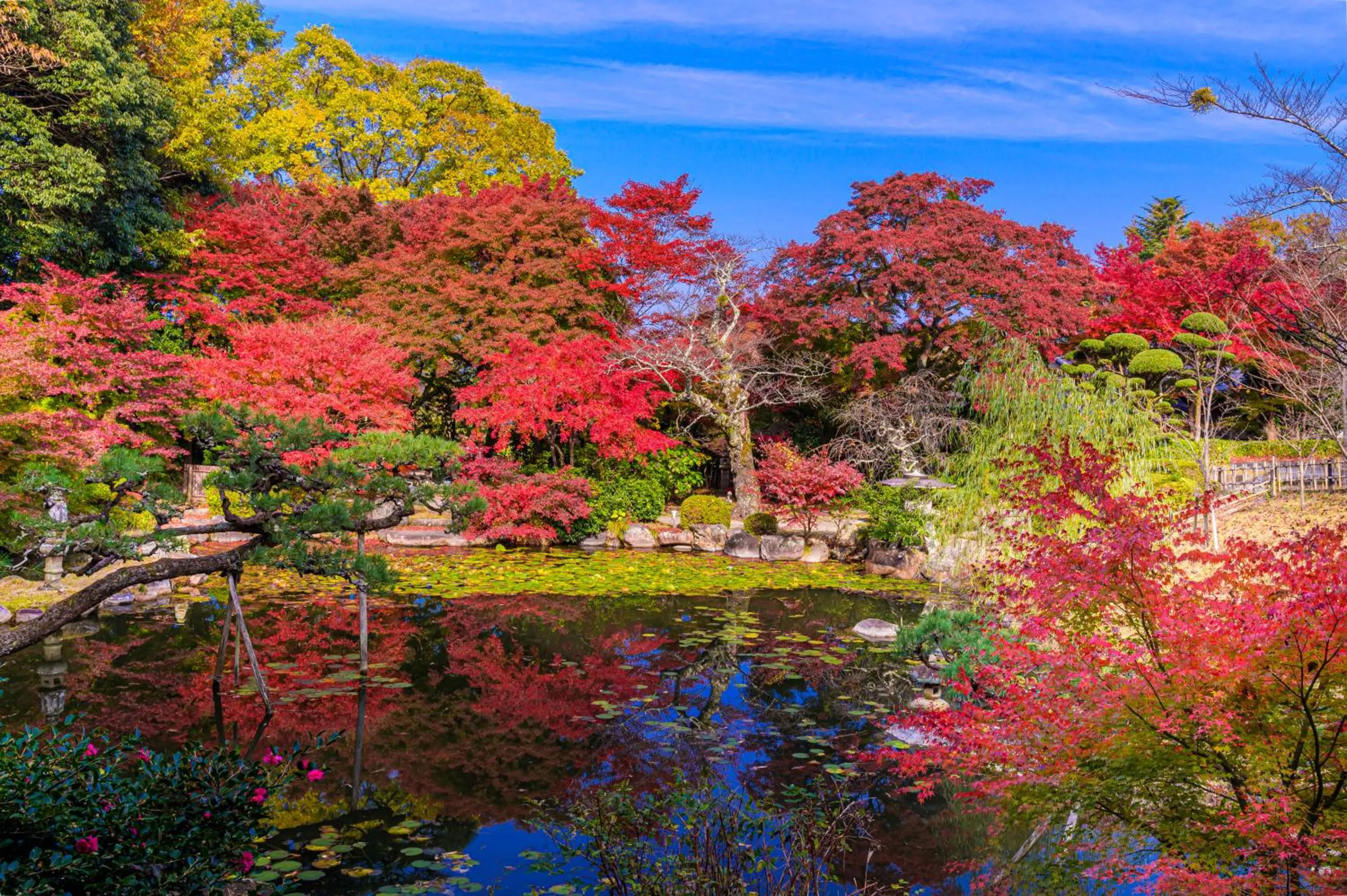 Natural landscape in Motoyu Kosenkaku