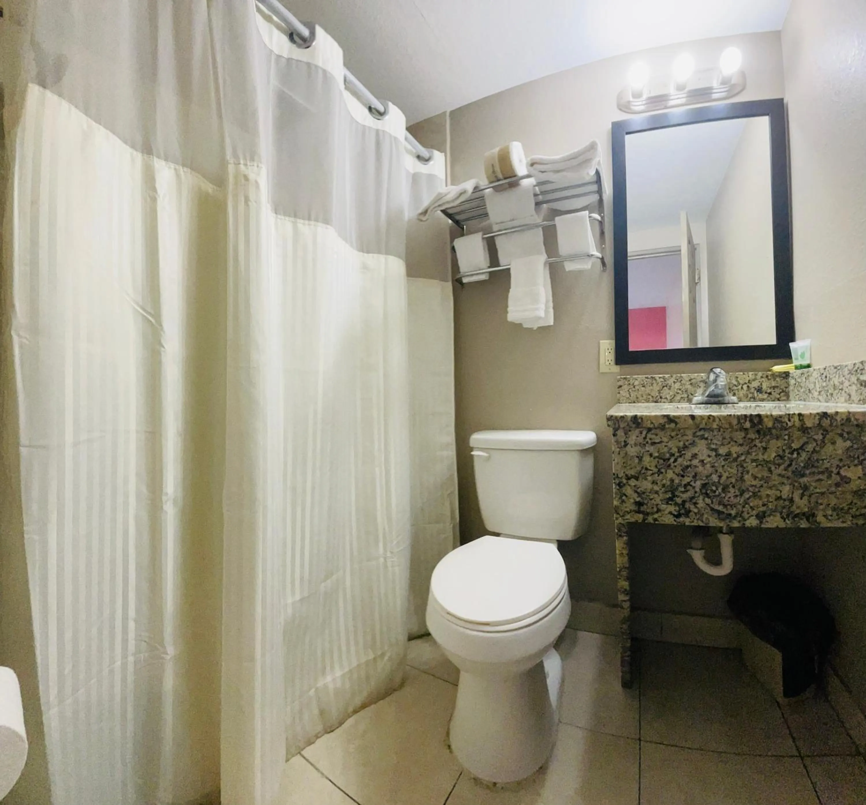 Bathroom in Budget Inn - St. Petersburg