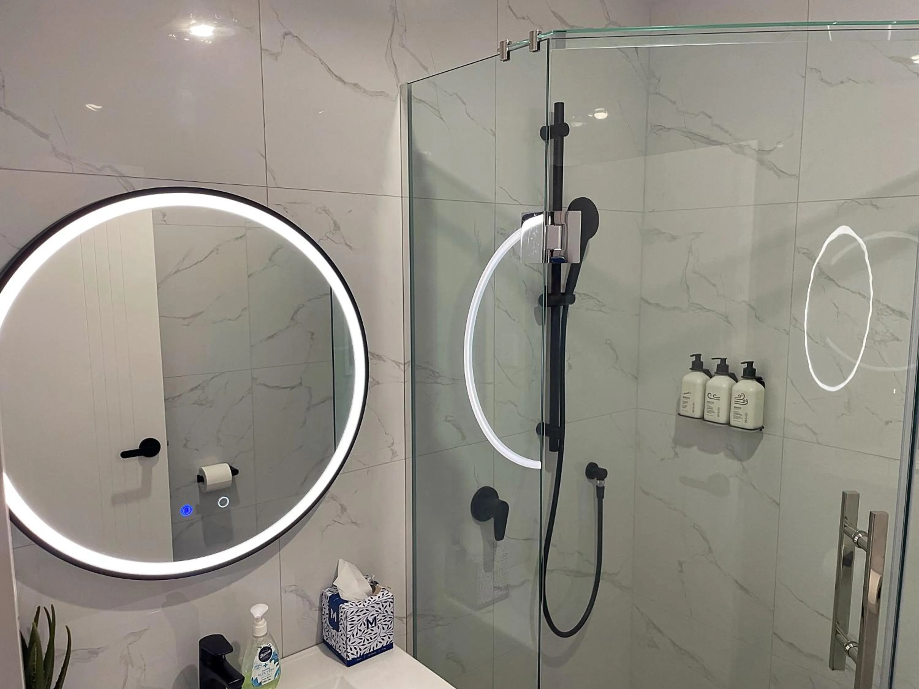 Shower in Flat Bush Holiday Accommodation