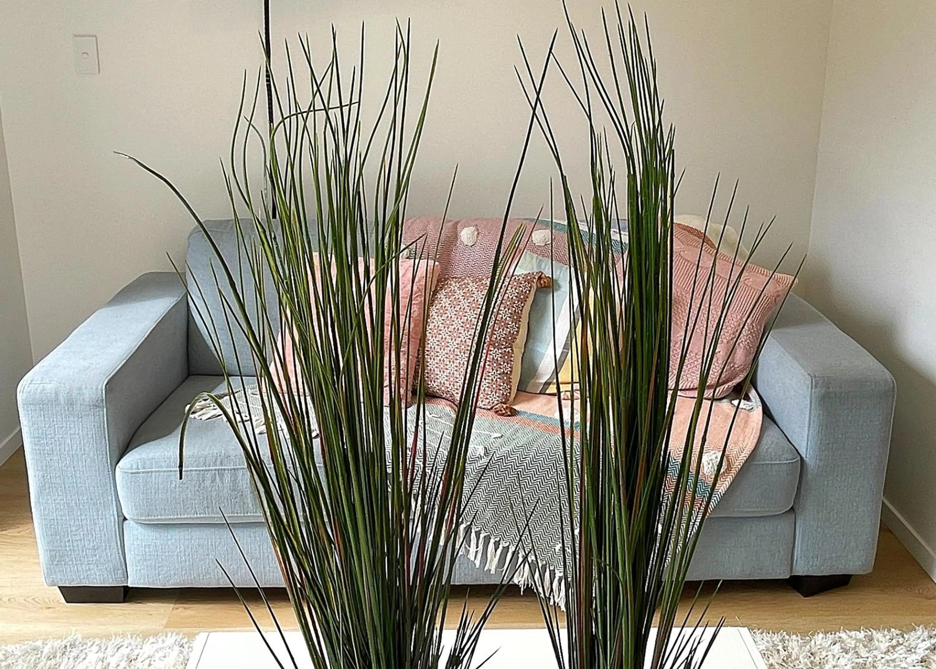 Living room in Flat Bush Holiday Accommodation