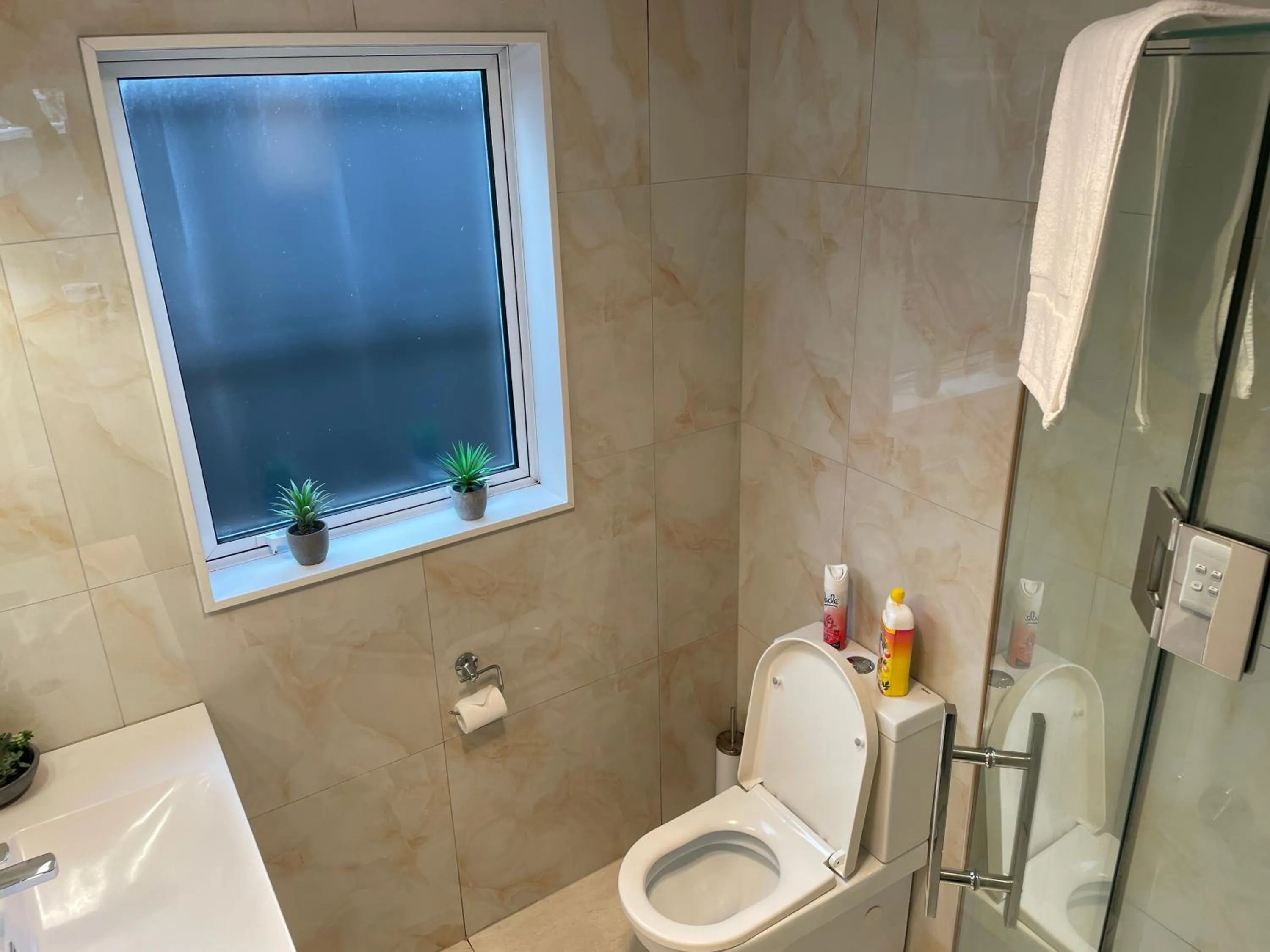 Shower in Flat Bush Holiday Accommodation