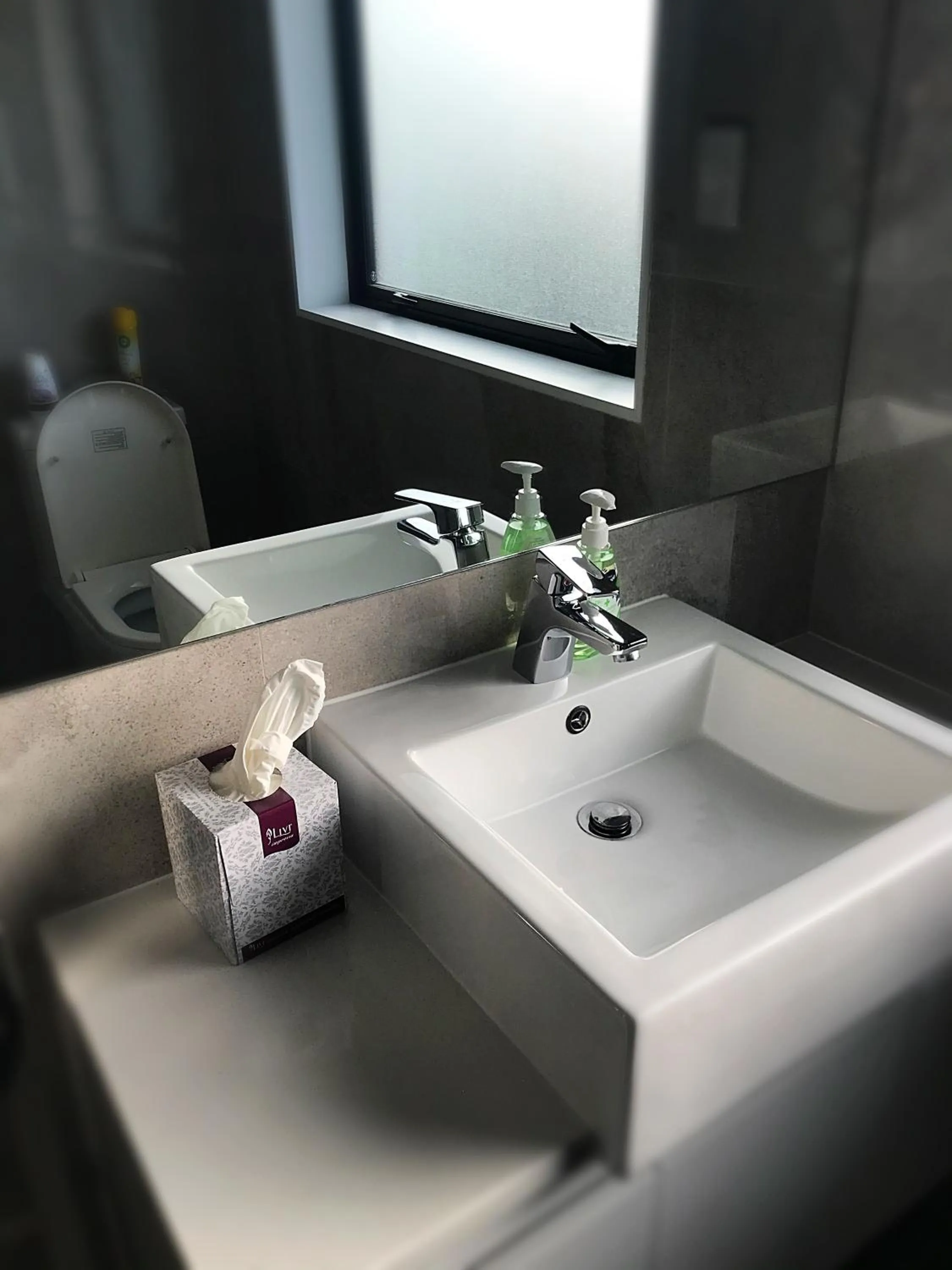 Bathroom in Flat Bush Holiday Accommodation