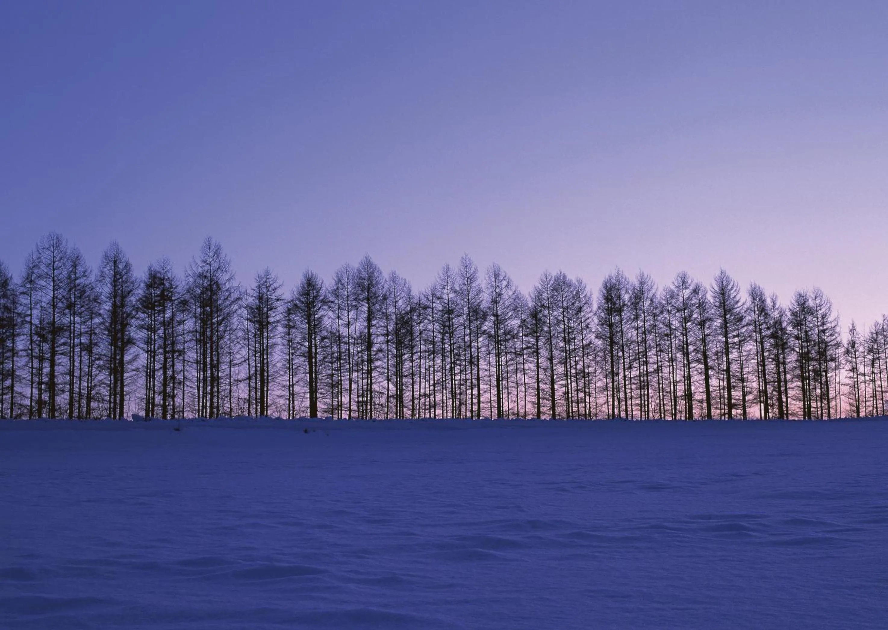 Winter in Hotel Sunfuraton