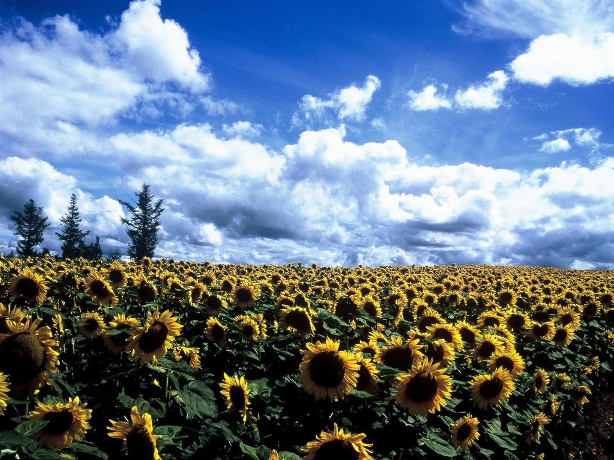 Off site in Hotel Sunfuraton