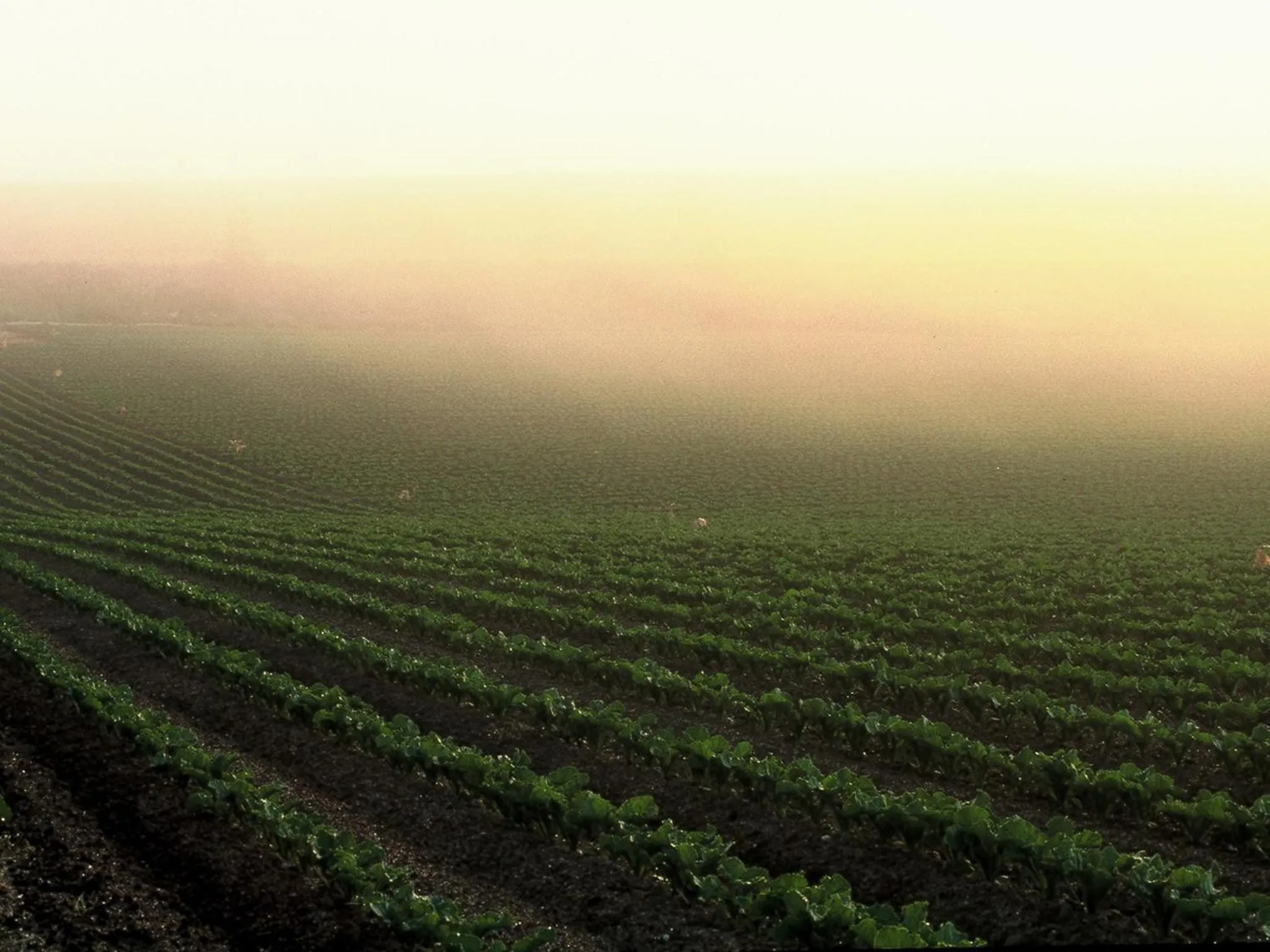 Natural landscape in Hotel Sunfuraton