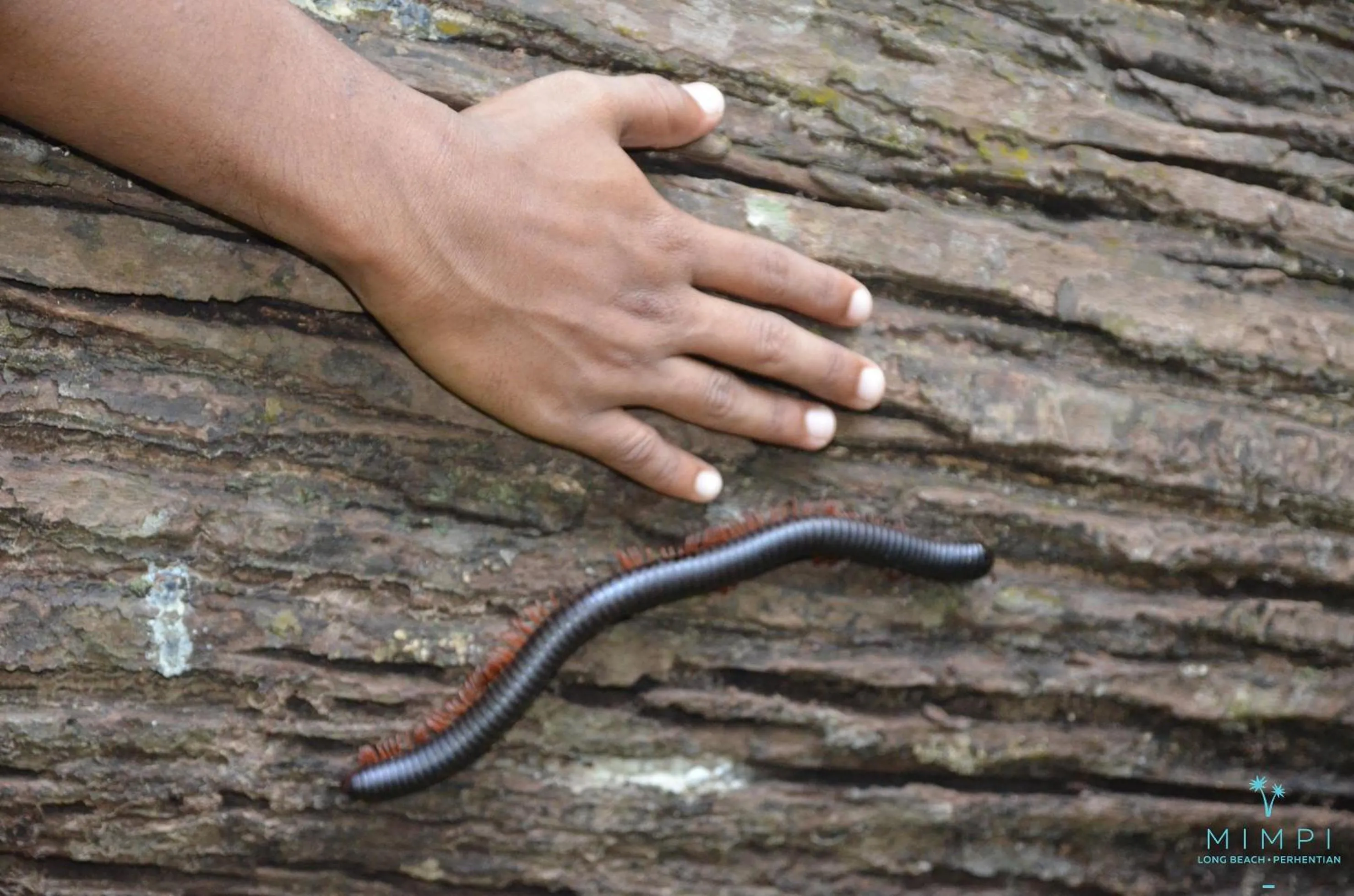 Hiking in Mimpi Perhentian
