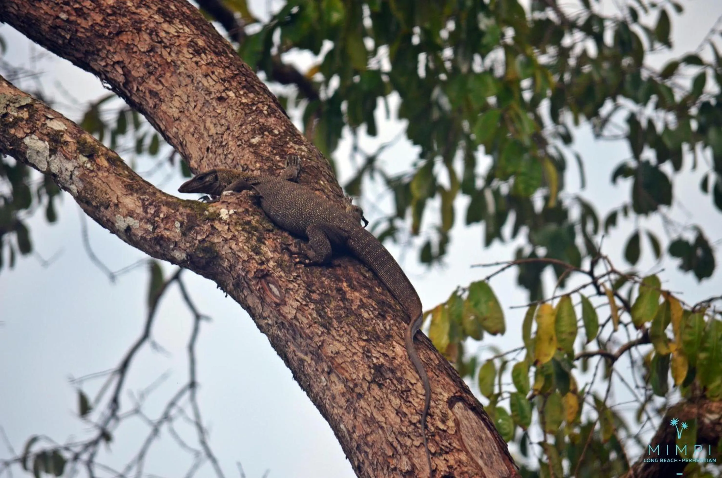 Hiking in Mimpi Perhentian