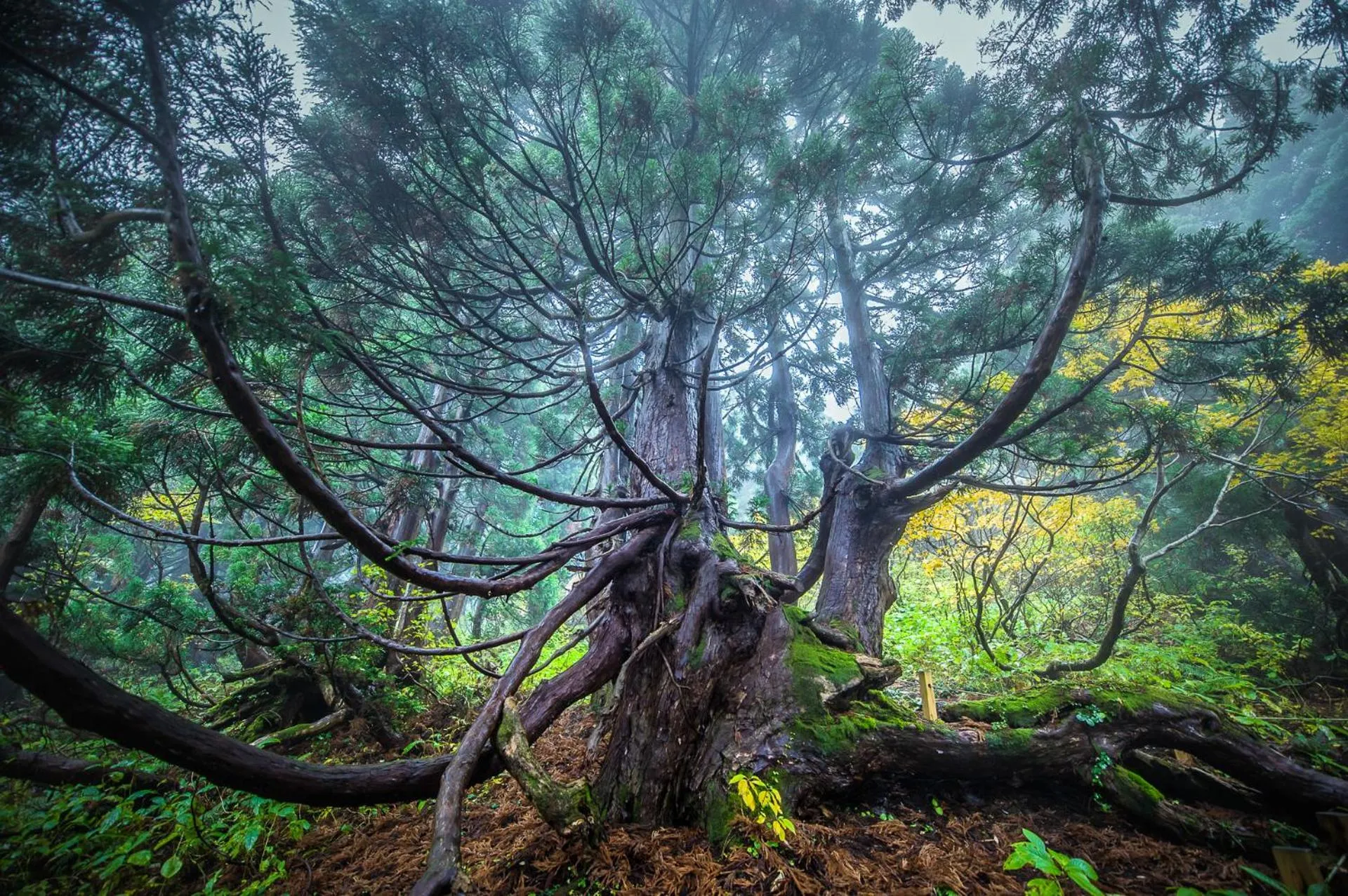 Nearby landmark in Sado Resort Hotel Azuma