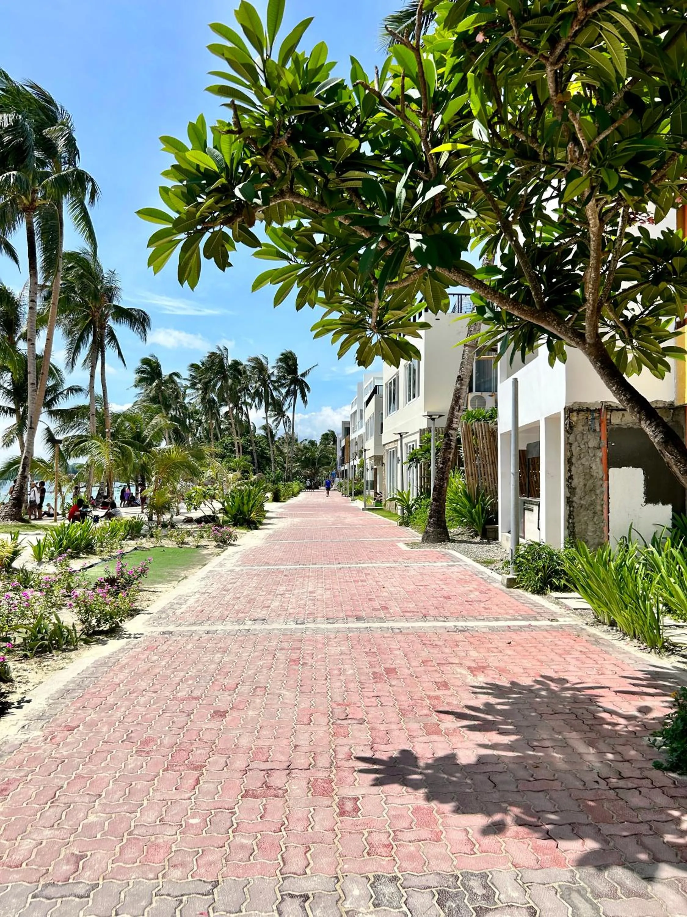 Neighbourhood in Lazy Dog Bed & Breakfast