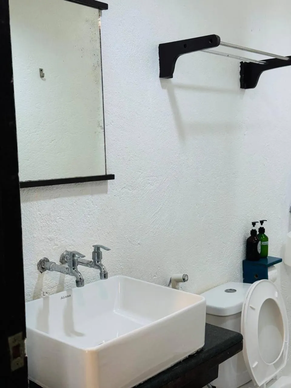 Toilet in Lazy Dog Bed & Breakfast